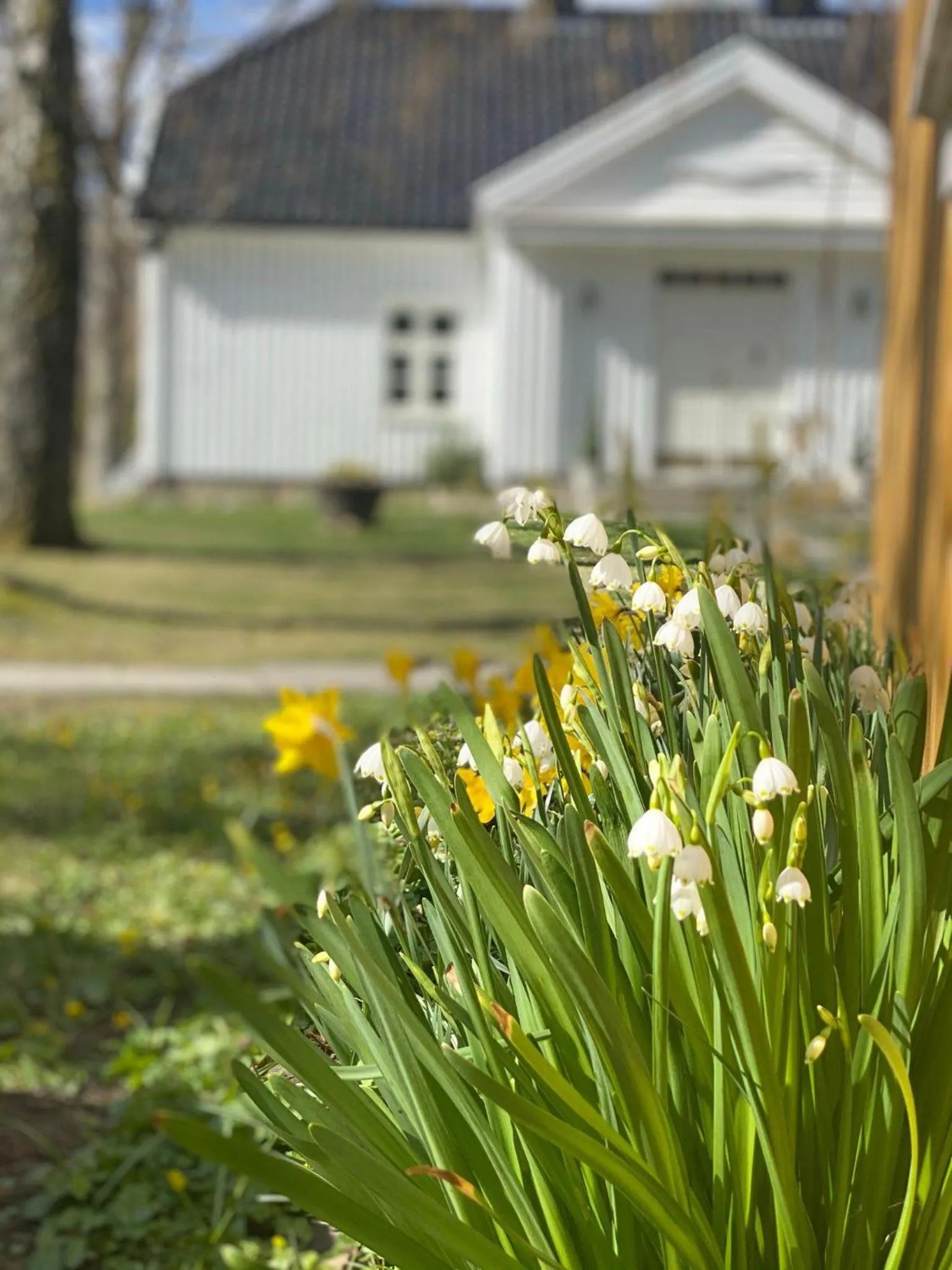 Garden in Engø Gård Hotel & Restaurant