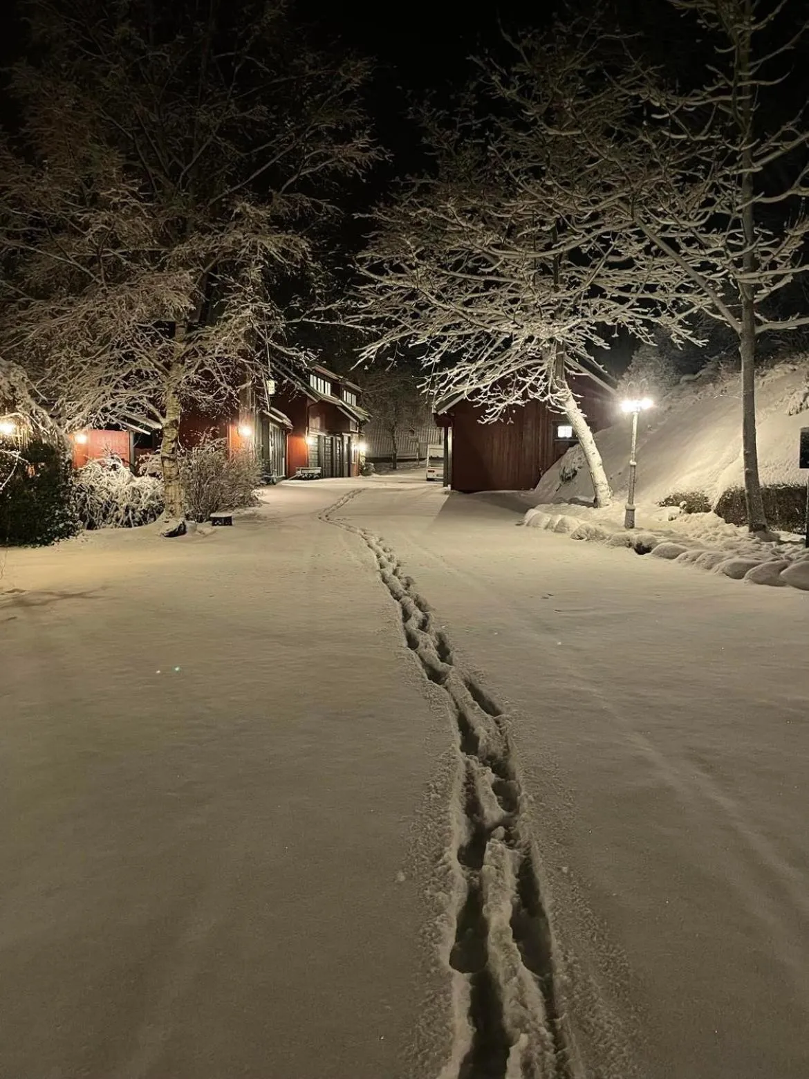 Winter in Engø Gård Hotel & Restaurant