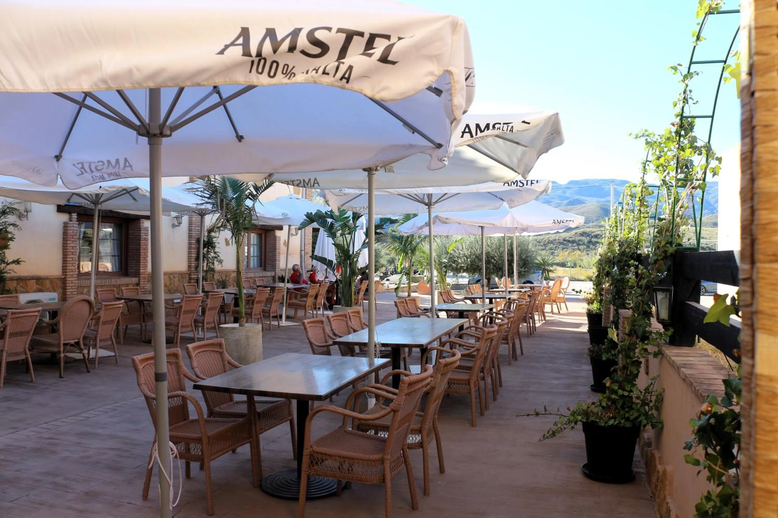 Restaurant/places to eat in Hostal Rural Turre
