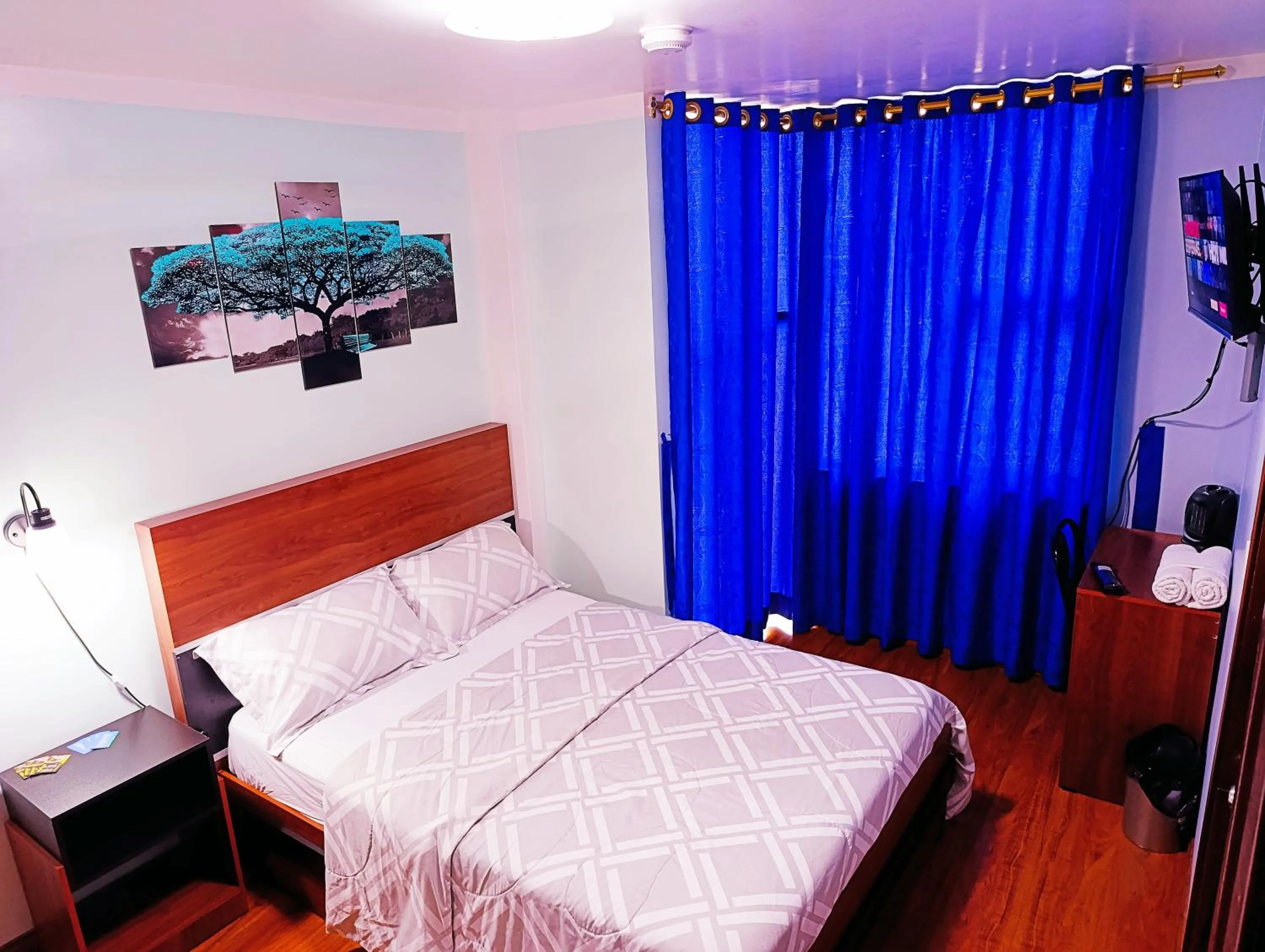 TV and multimedia, Bed in Hostal Valle Andino