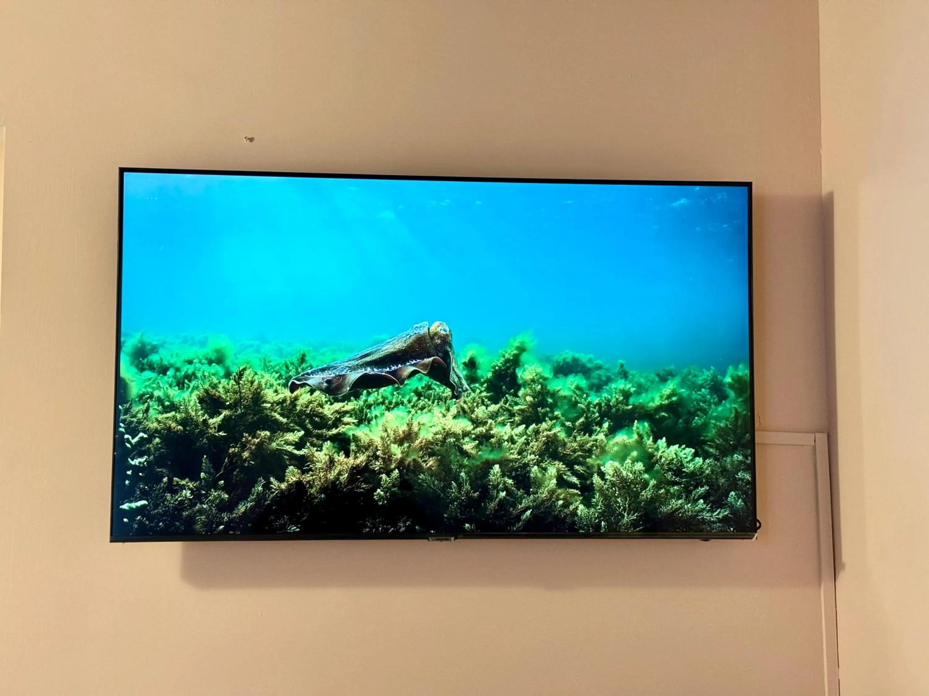 TV and multimedia in First Dream Venice