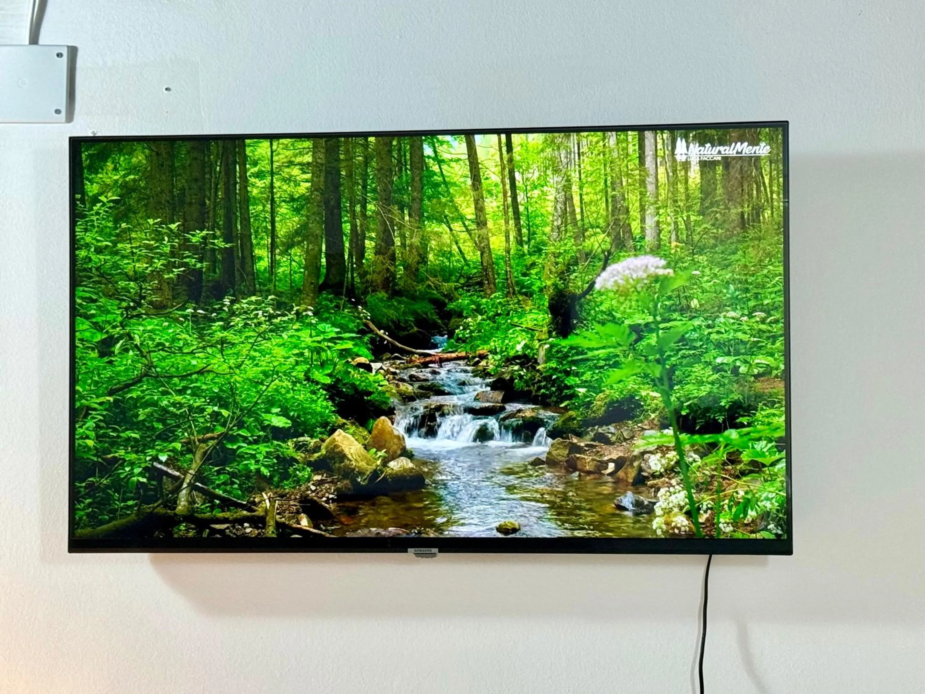 TV and multimedia in First Dream Venice