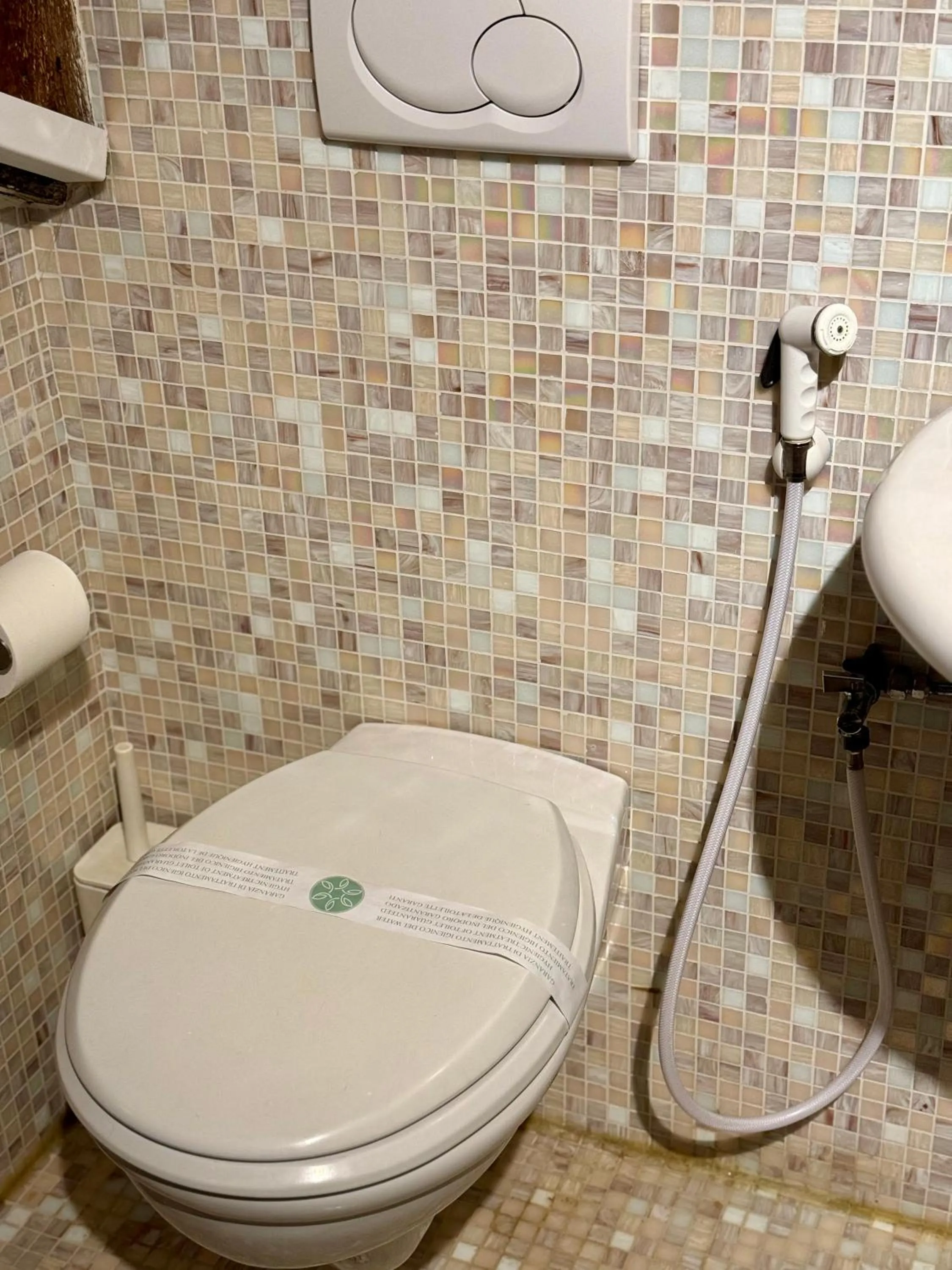 Toilet in First Dream Venice