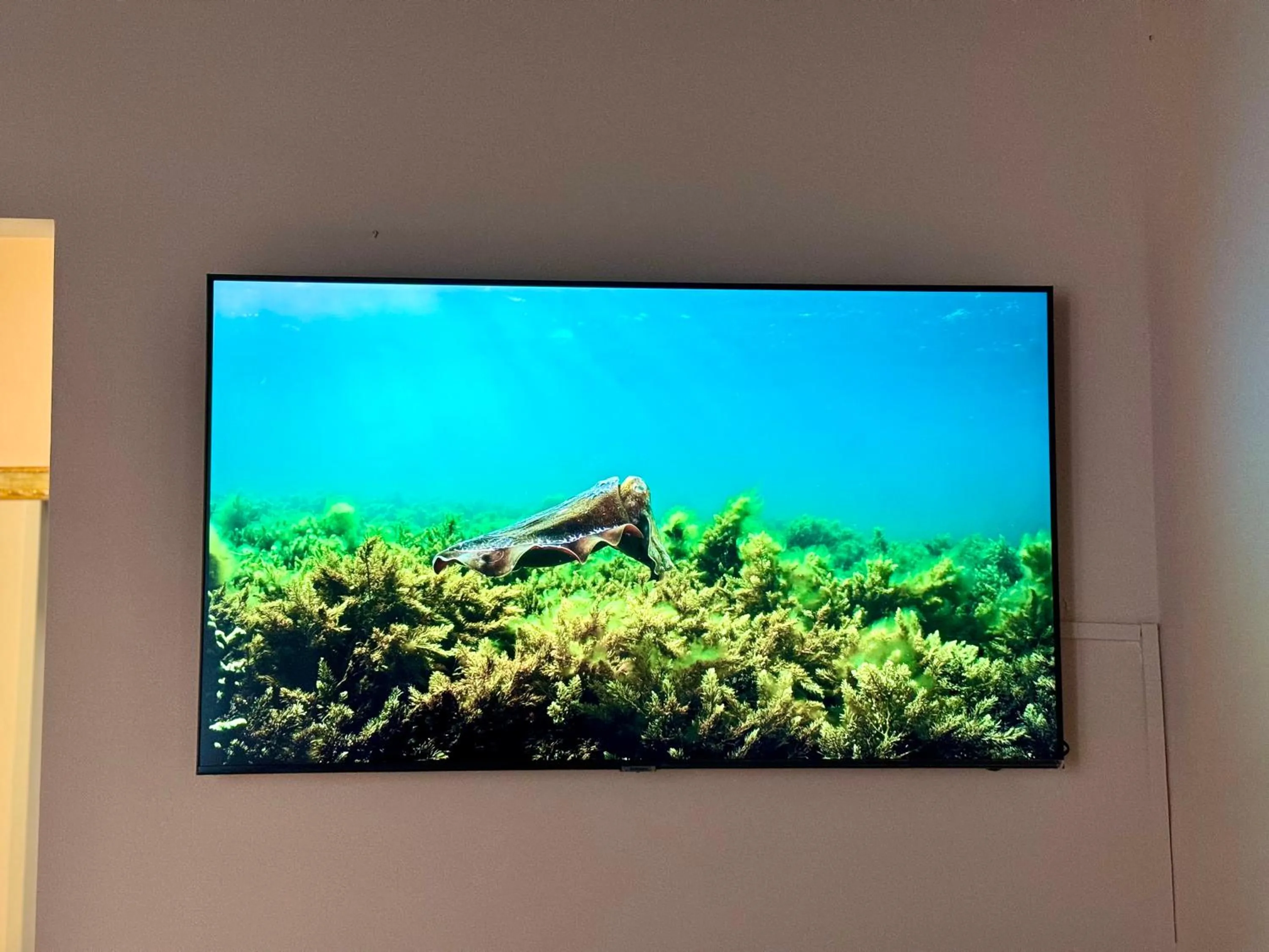 TV and multimedia in First Dream Venice