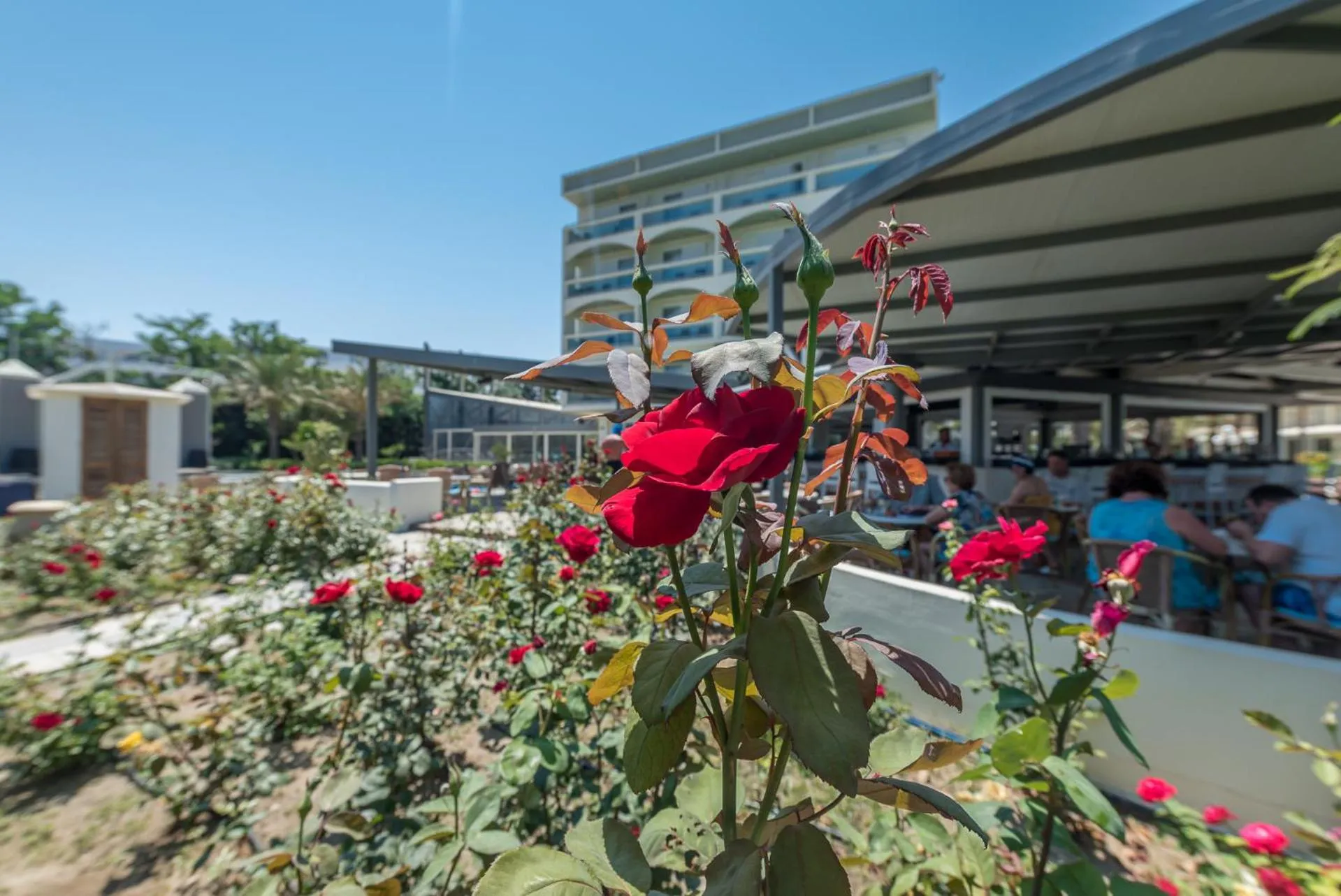 Garden in Apollo Beach