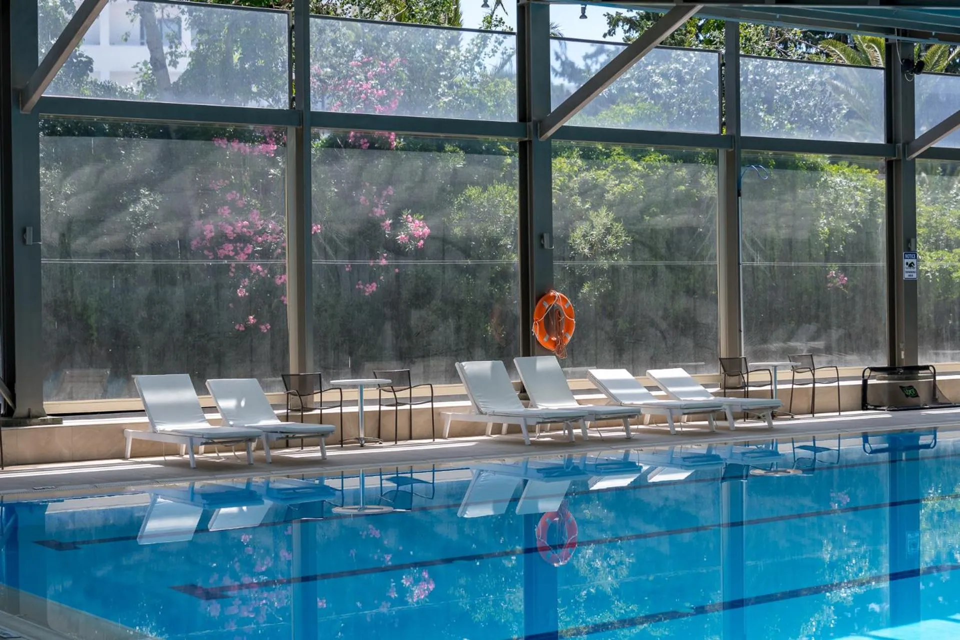 Swimming pool in Apollo Beach