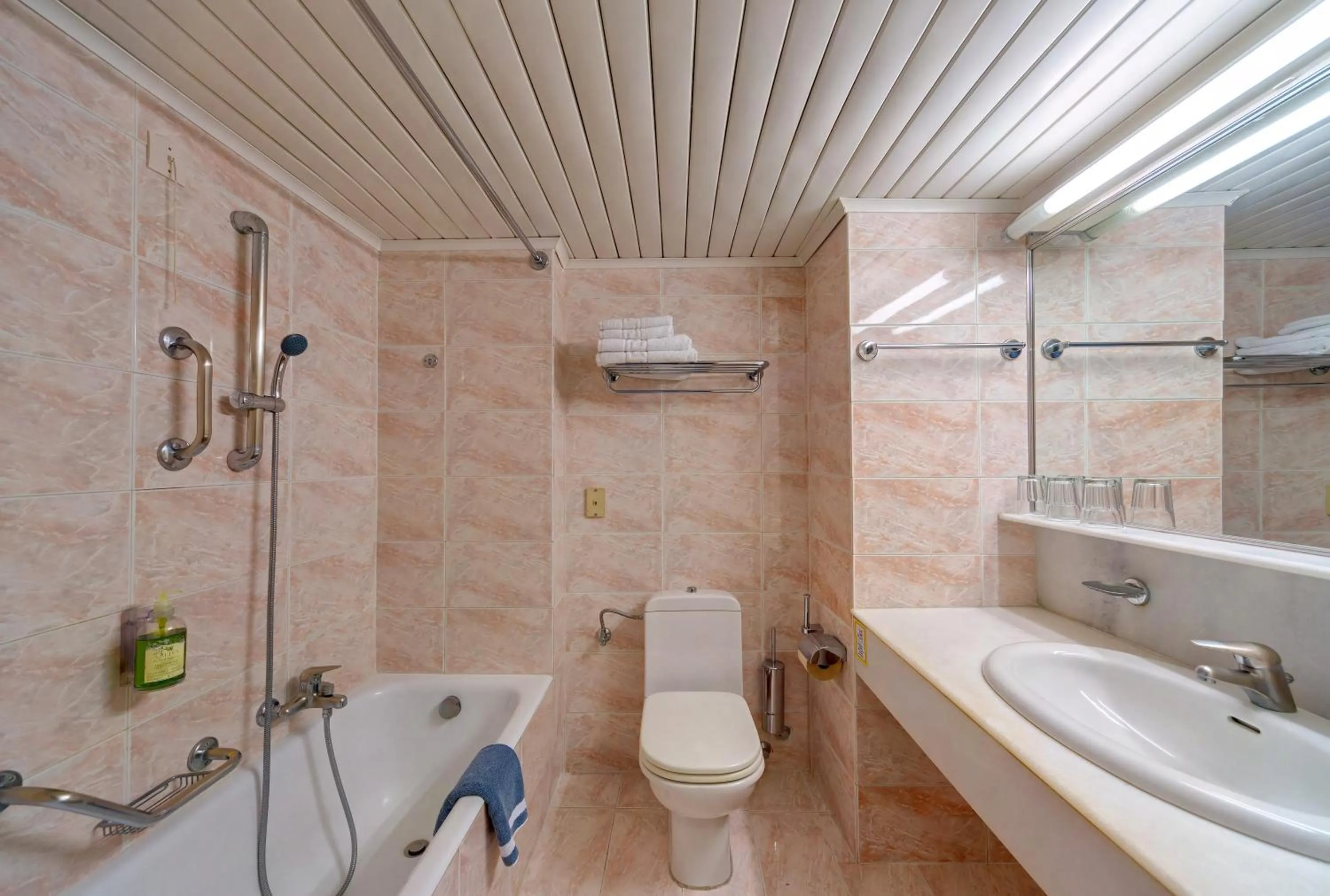 Bathroom in Apollo Beach