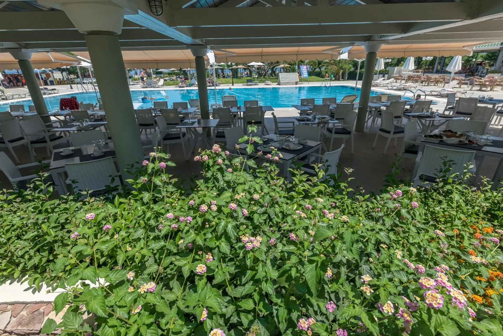 Restaurant/places to eat in Apollo Beach