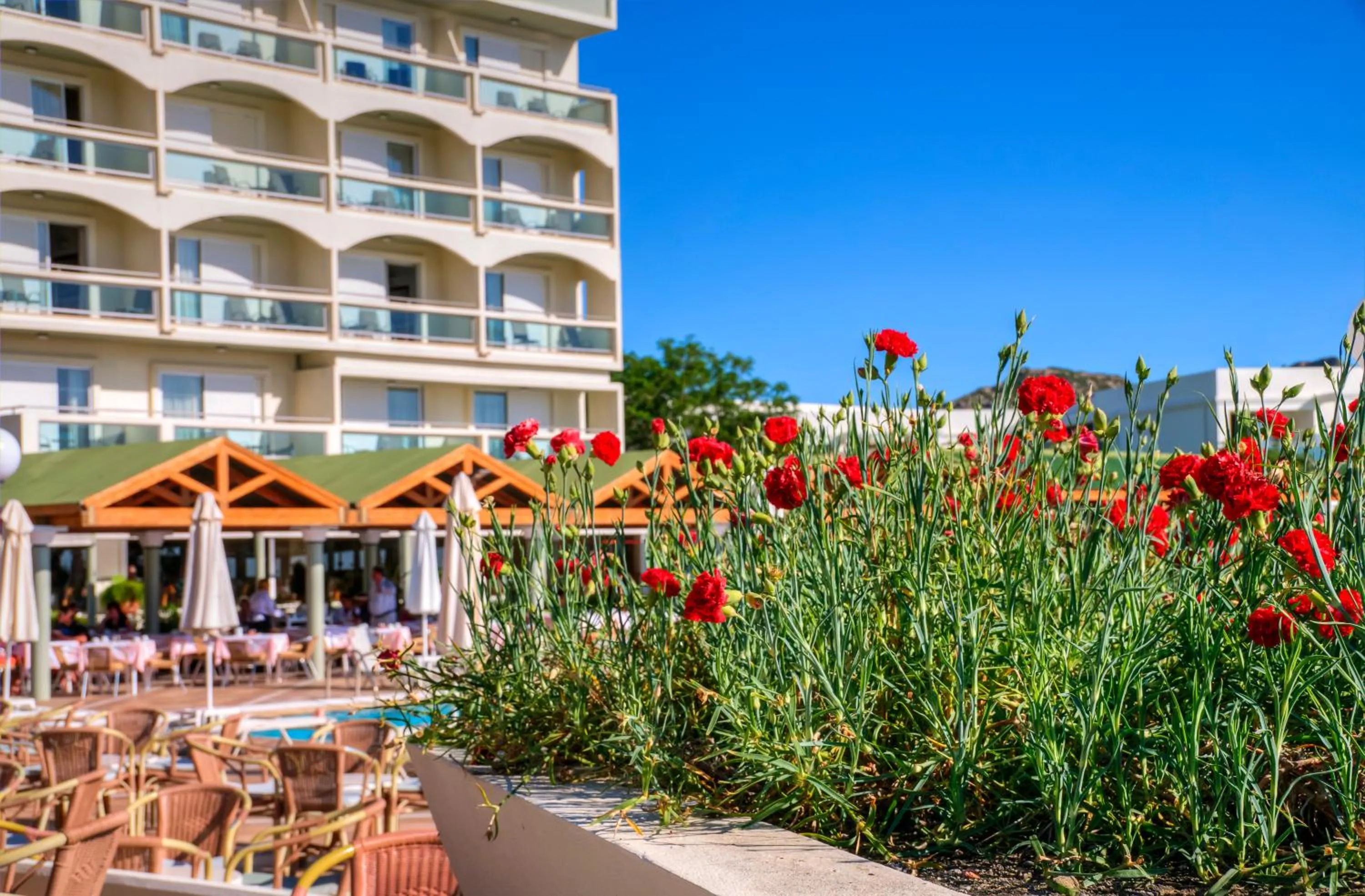 Garden in Apollo Beach