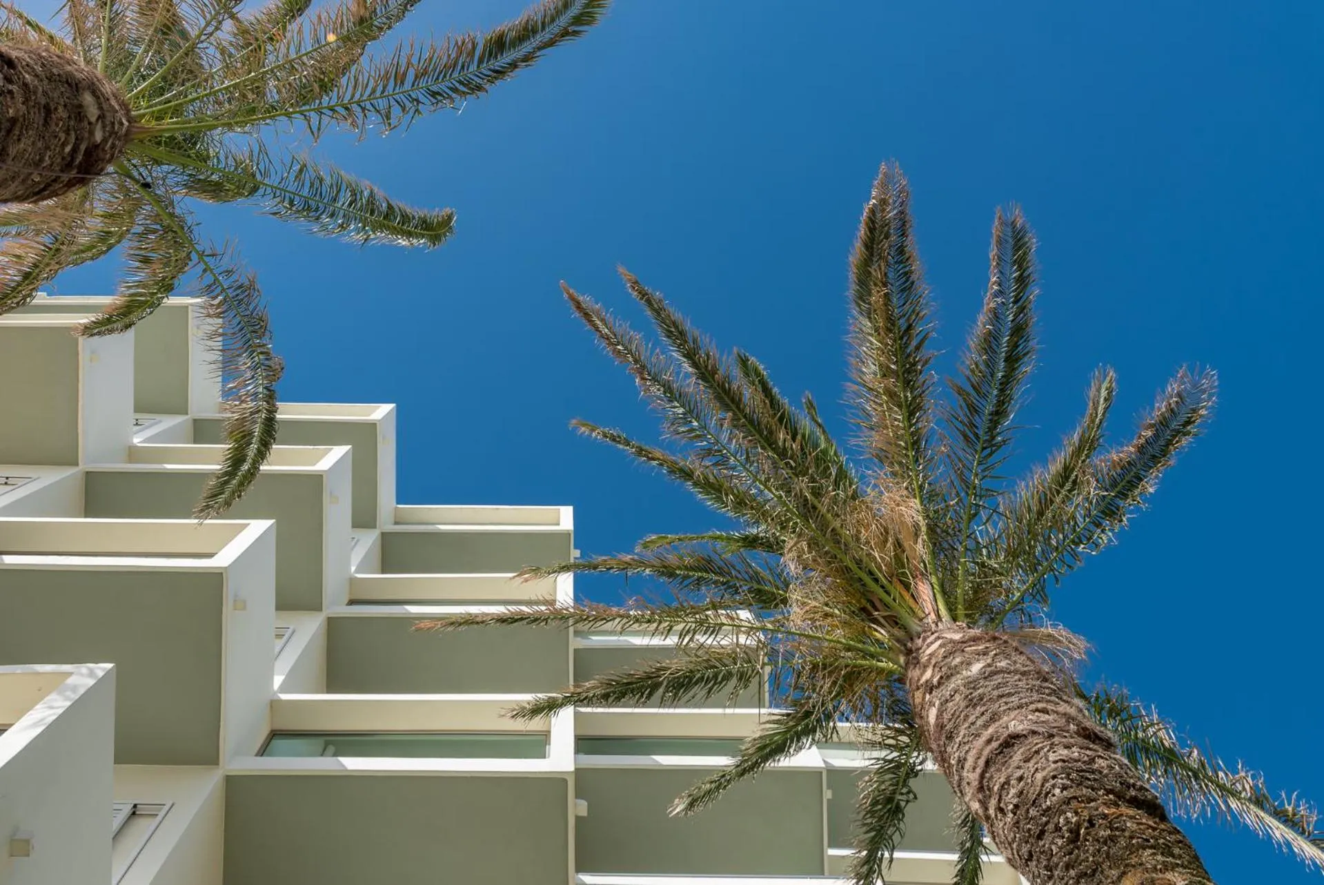 Property building in Apollo Beach