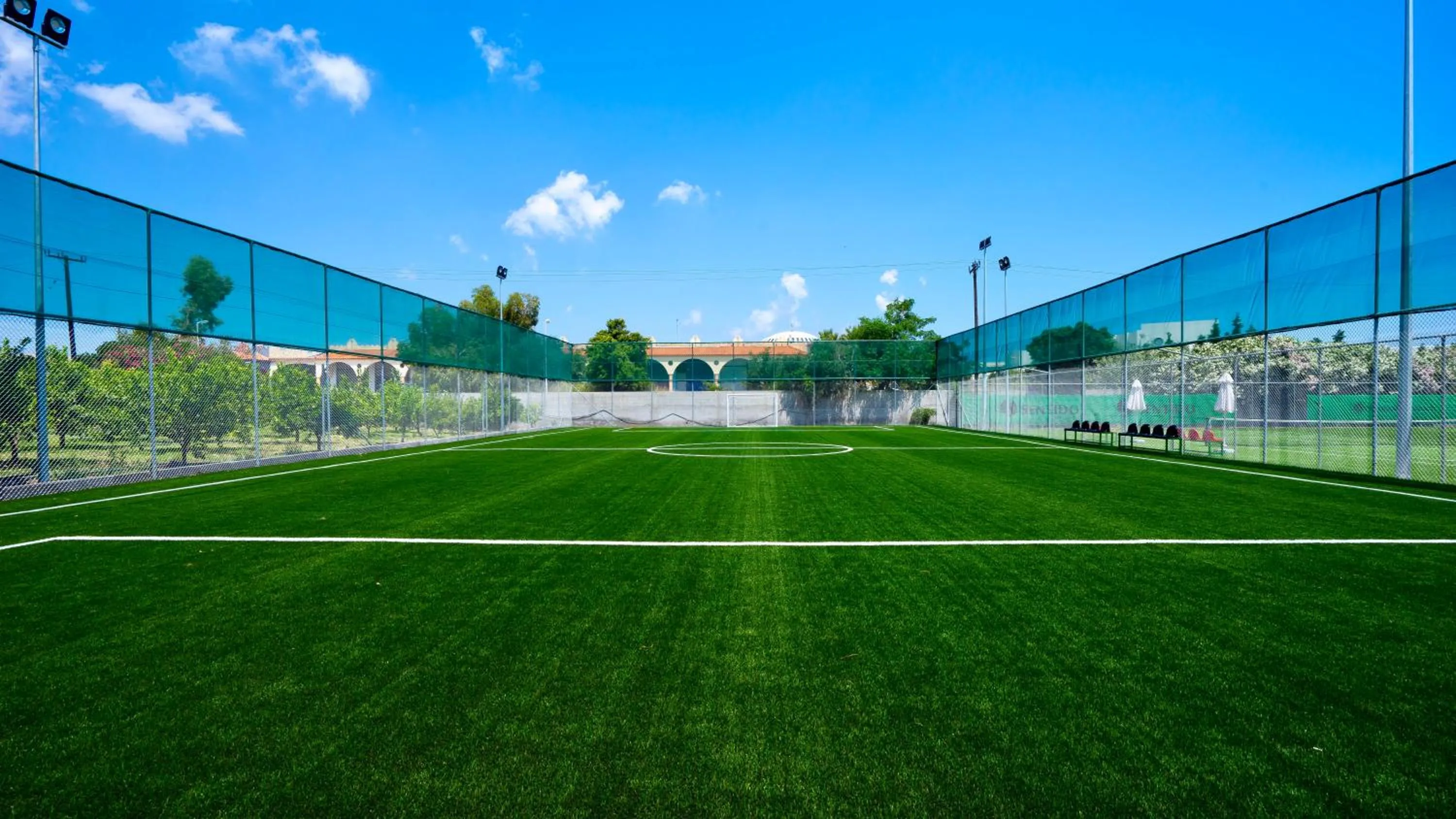 Sports in Apollo Beach