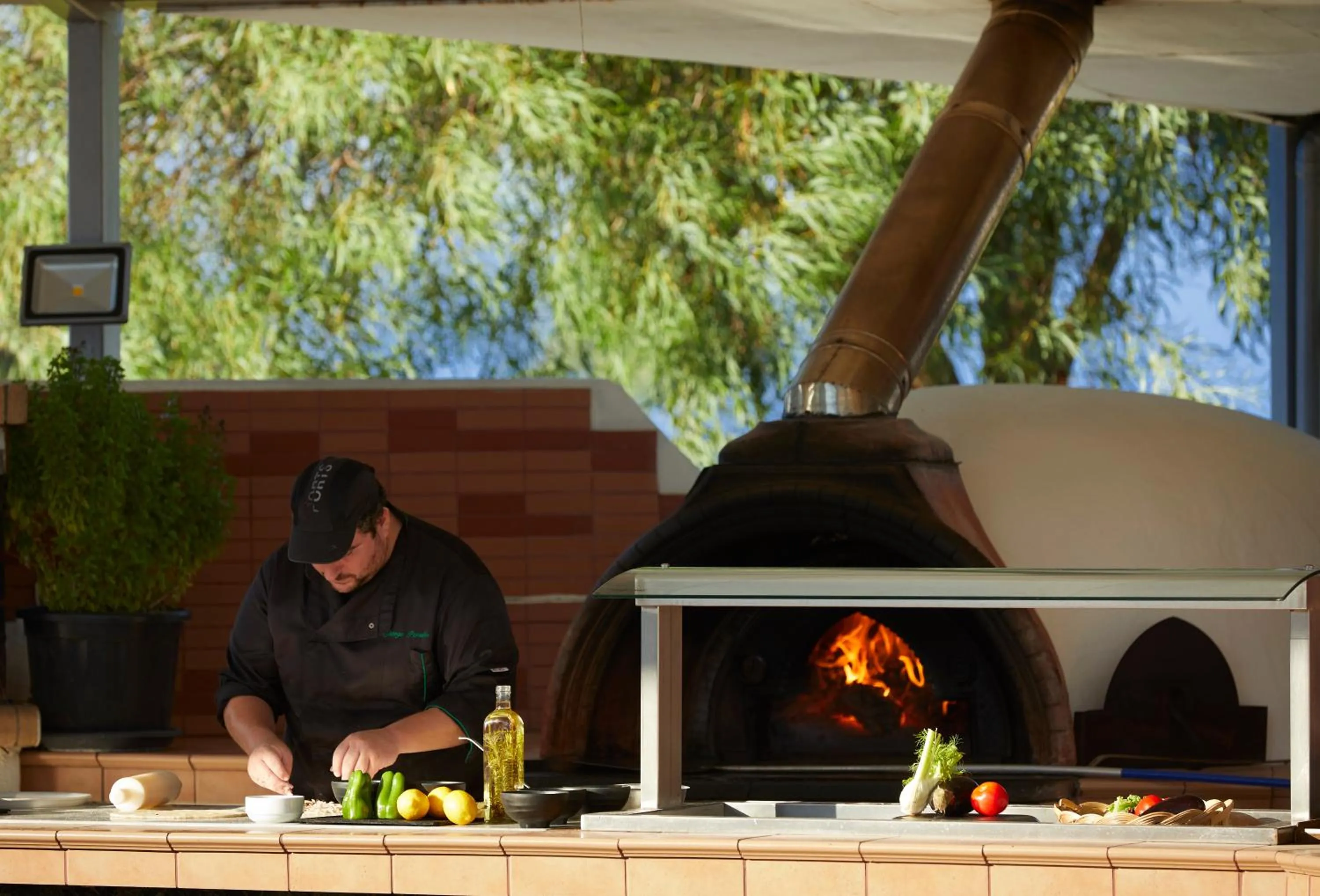 BBQ facilities in Apollo Beach