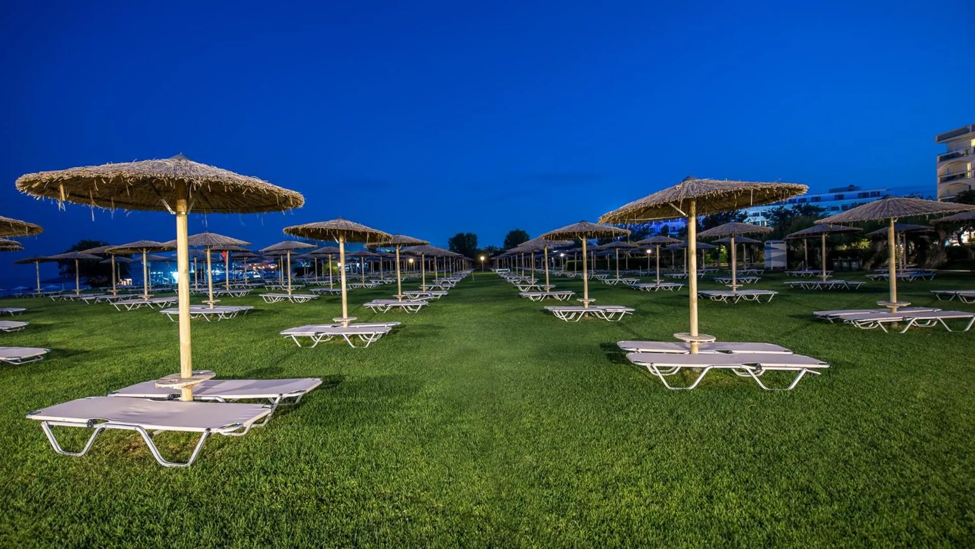 Activities in Apollo Beach