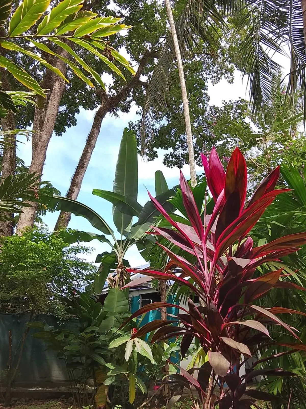 Garden in Hotel Exotic Lodge