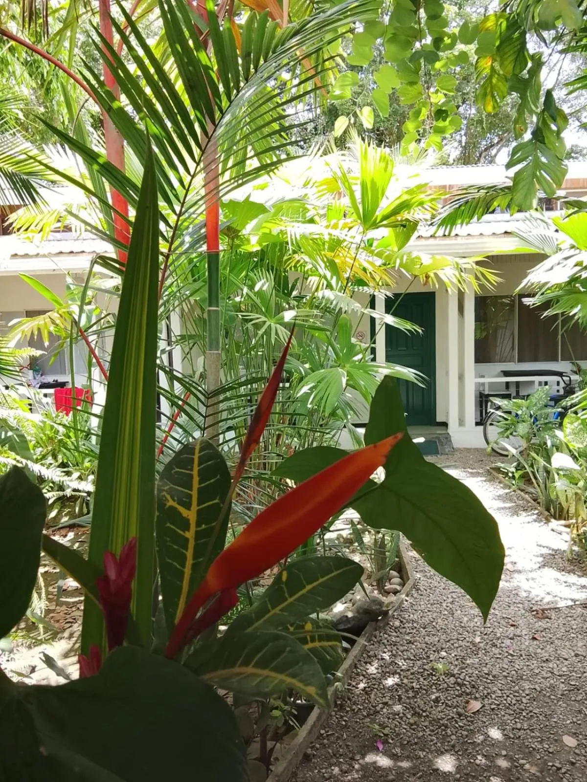 Facade/entrance in Hotel Exotic Lodge