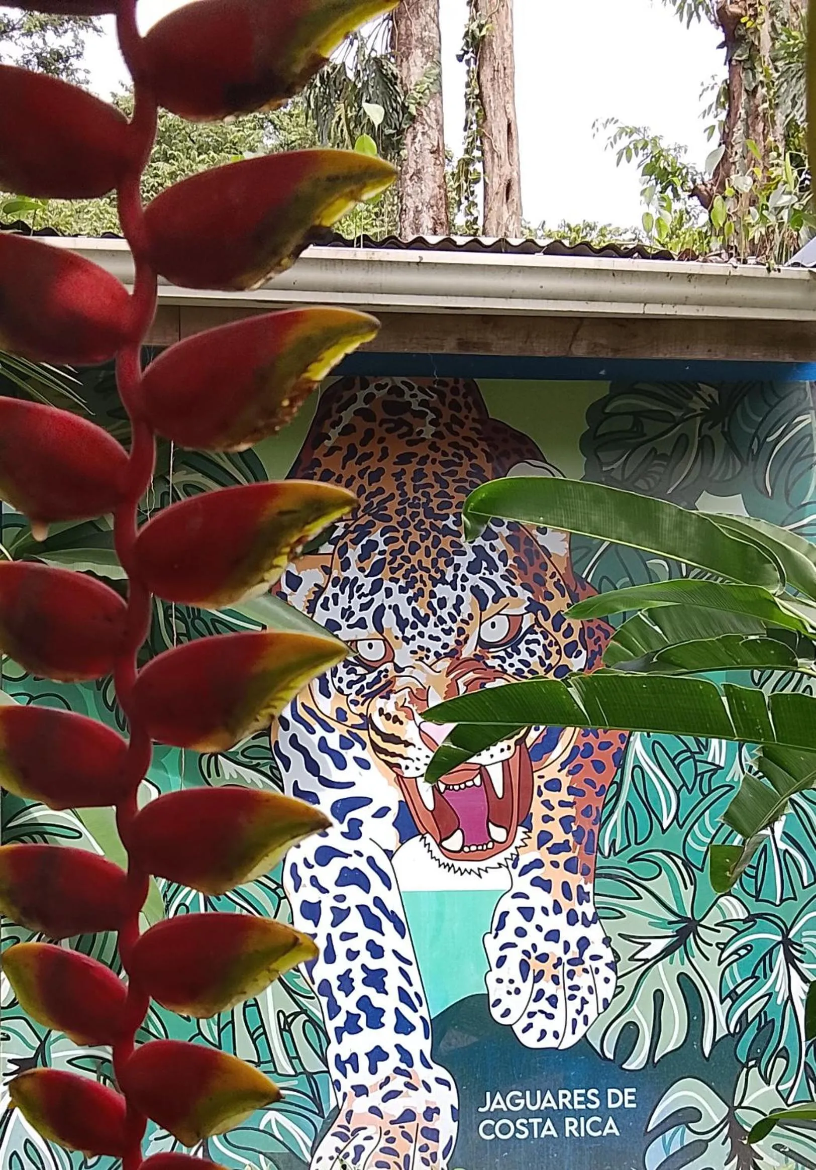 Garden in Hotel Exotic Lodge