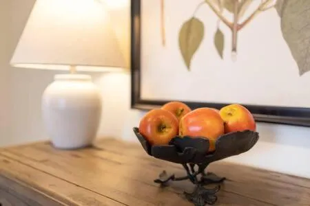 Downtown Luxury Farmhouse Apartment #4