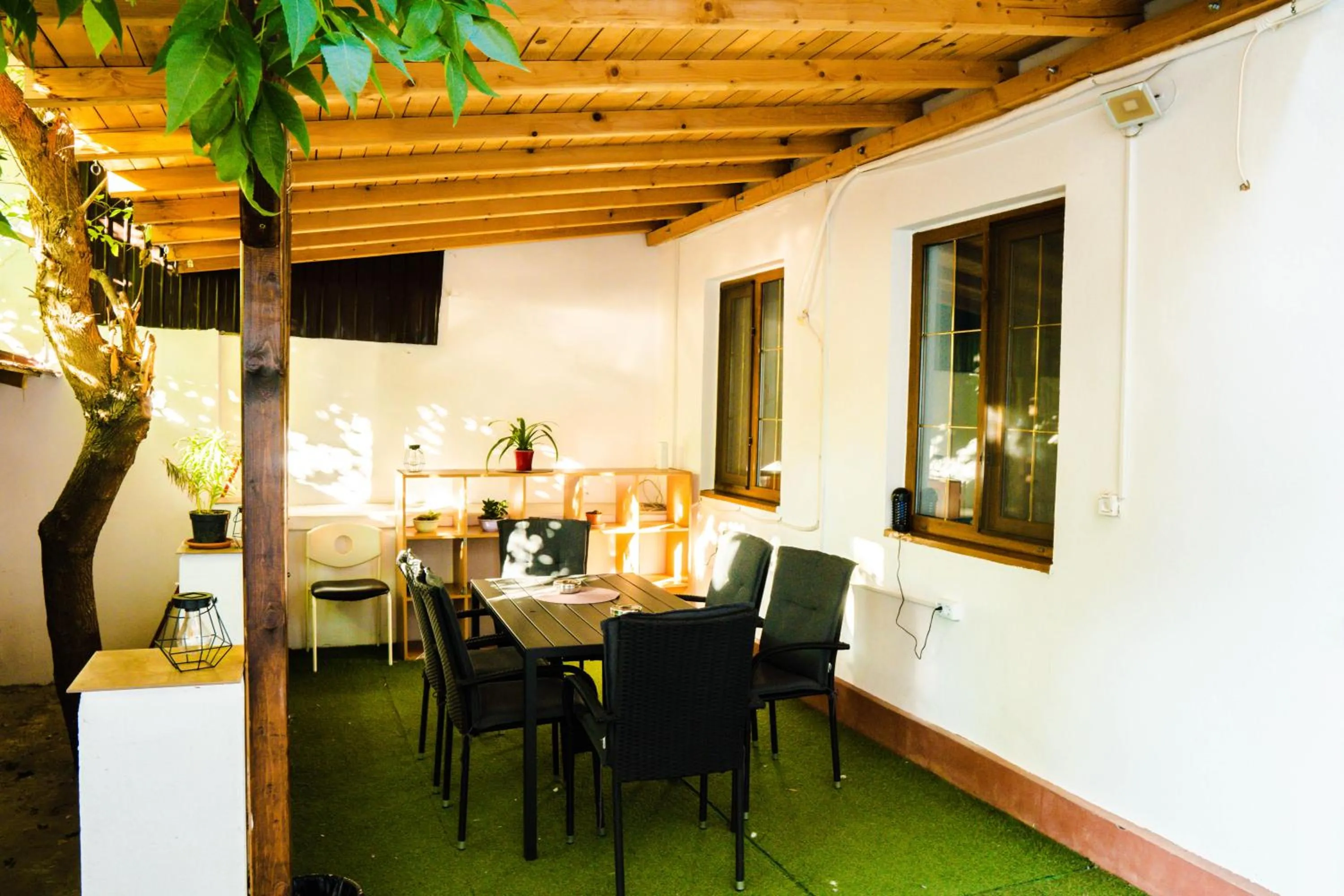Garden in HOSTEL SPORT BUCHAREST