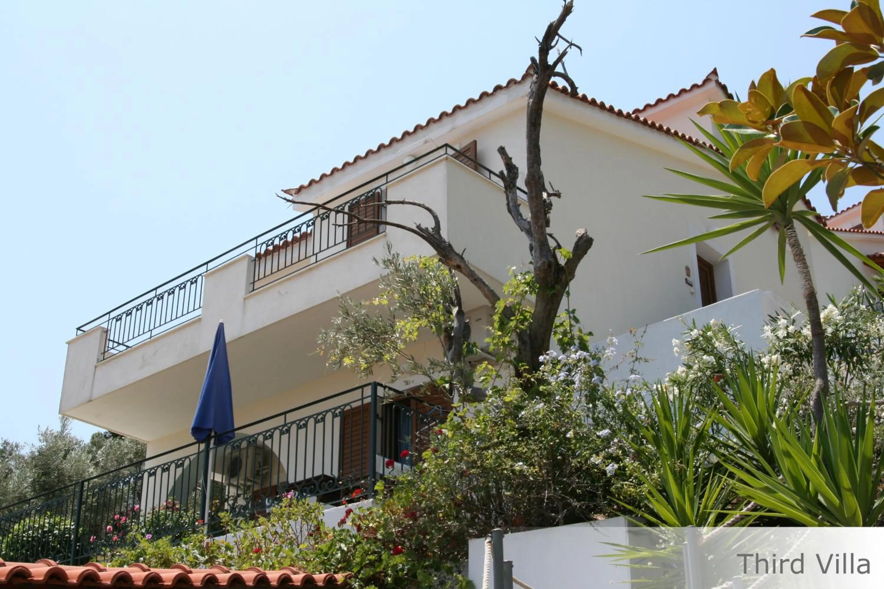 Property building in Eye Q Resort Seaview