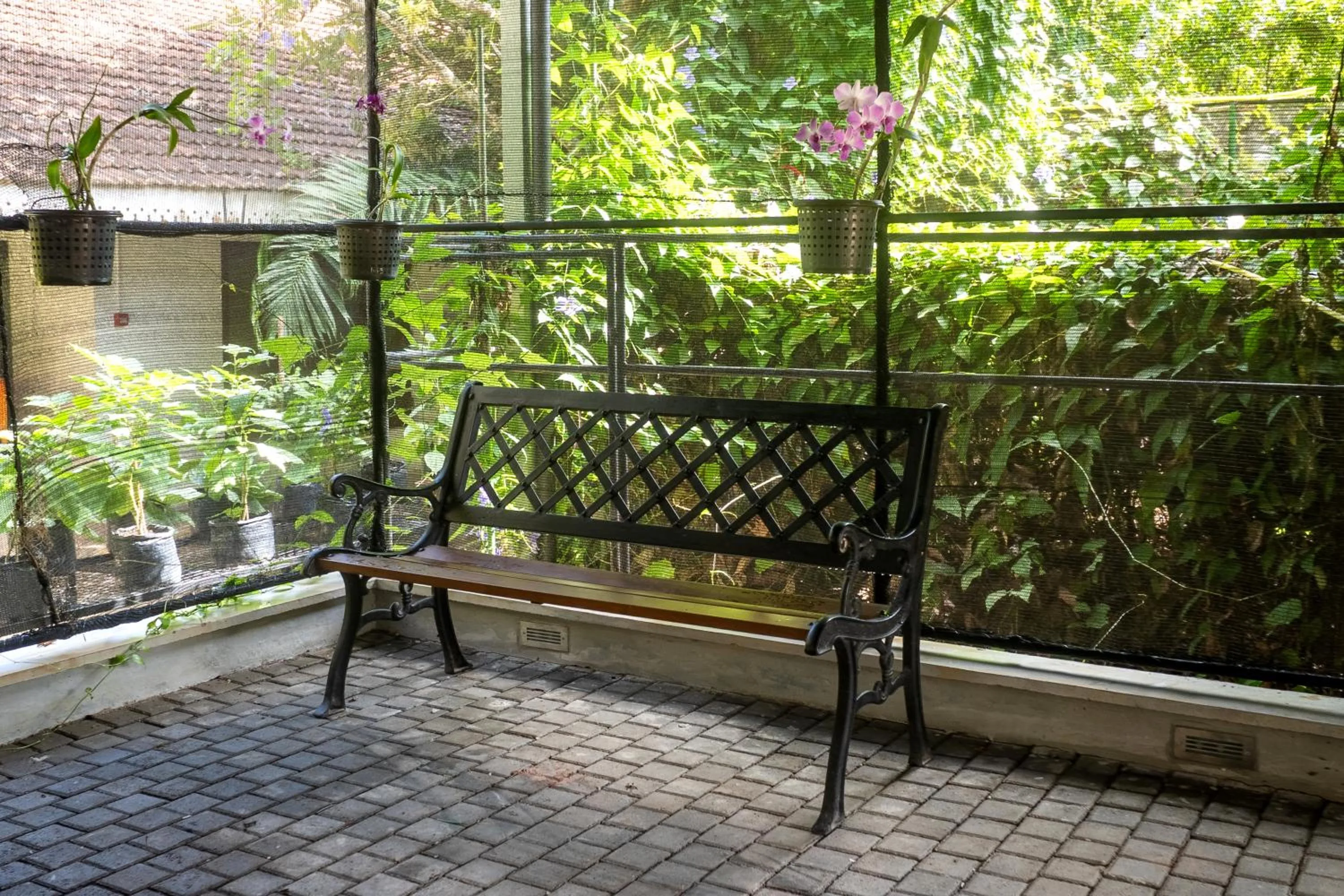 Ceylon Kingsmen Garden - Katunayake Airport Transit Hotels