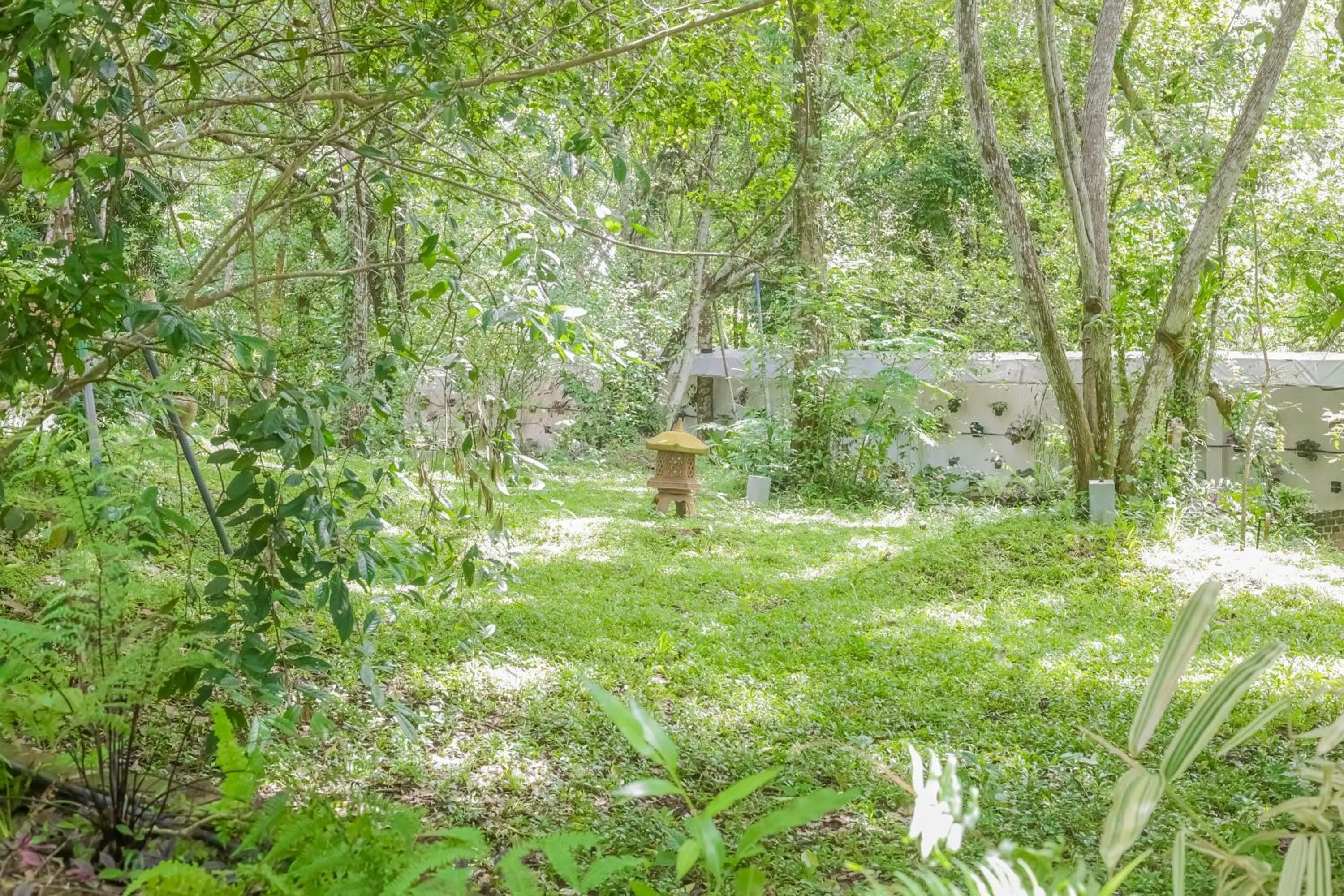 Garden in Ceylon Kingsmen Garden - Katunayake Airport Transit Hotels