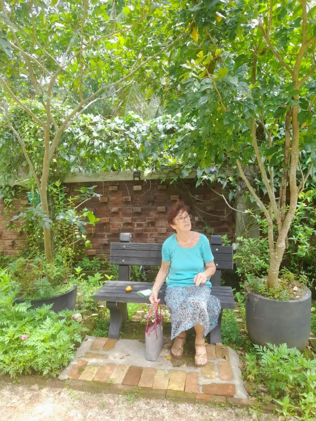 Garden in Ceylon Kingsmen Garden - Katunayake Airport Transit Hotels