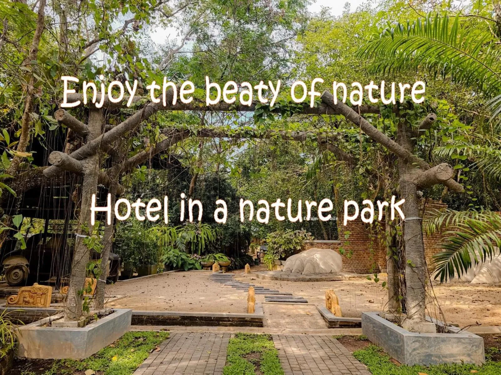 Natural landscape in Ceylon Kingsmen Garden - Katunayake Airport Transit Hotels