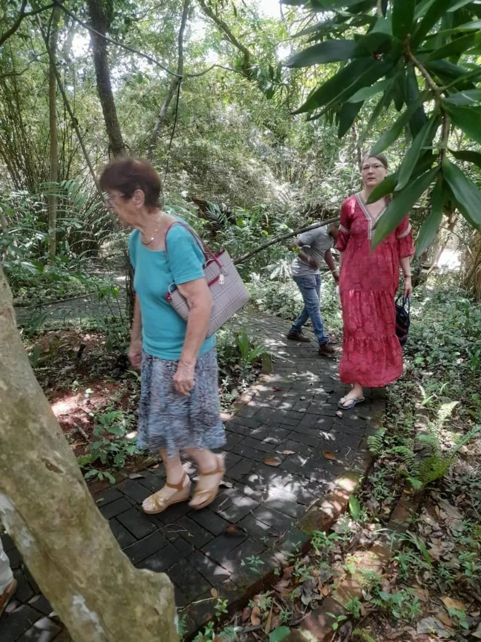 Natural landscape in Ceylon Kingsmen Garden - Katunayake Airport Transit Hotels