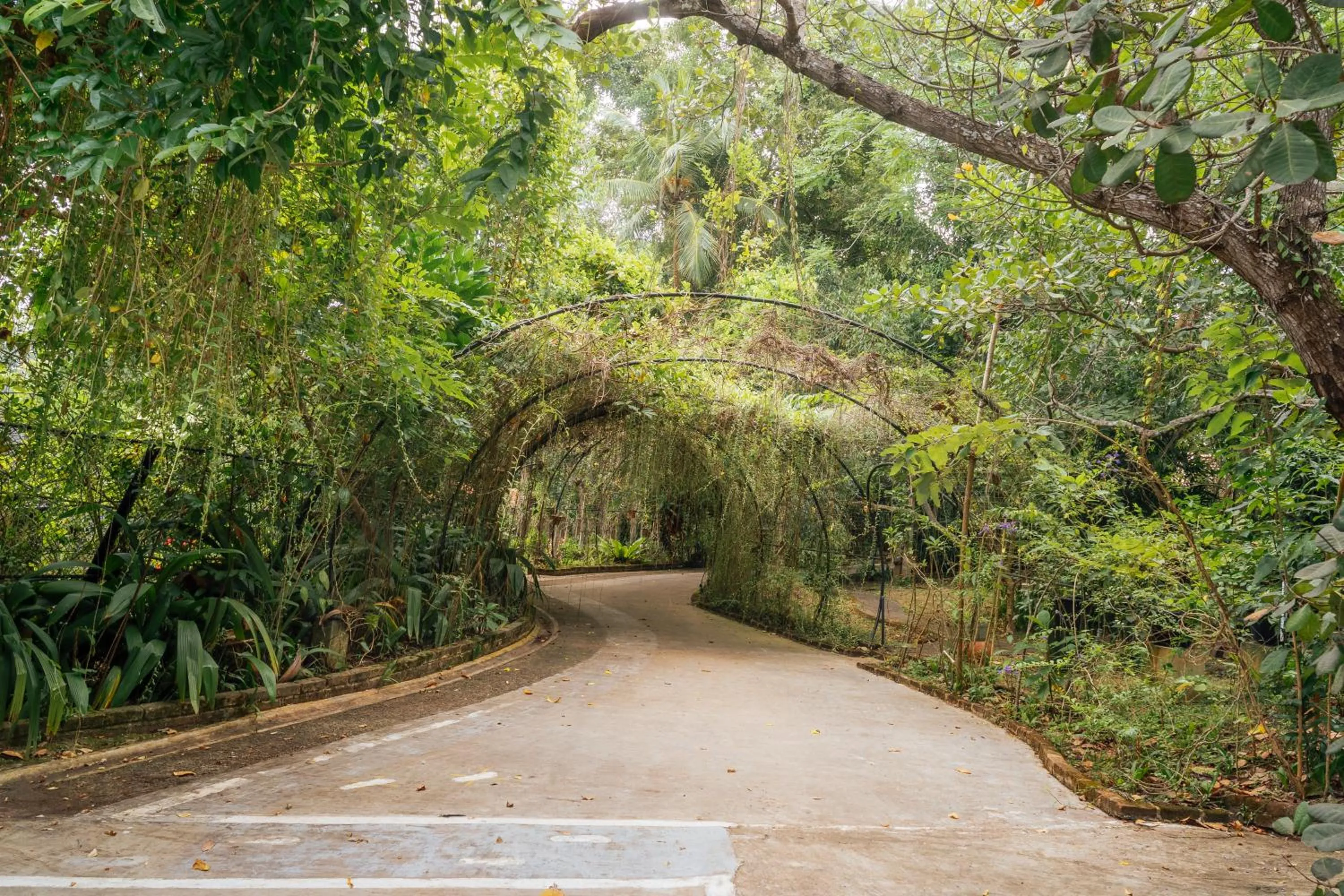Ceylon Kingsmen Garden - Katunayake Airport Transit Hotels