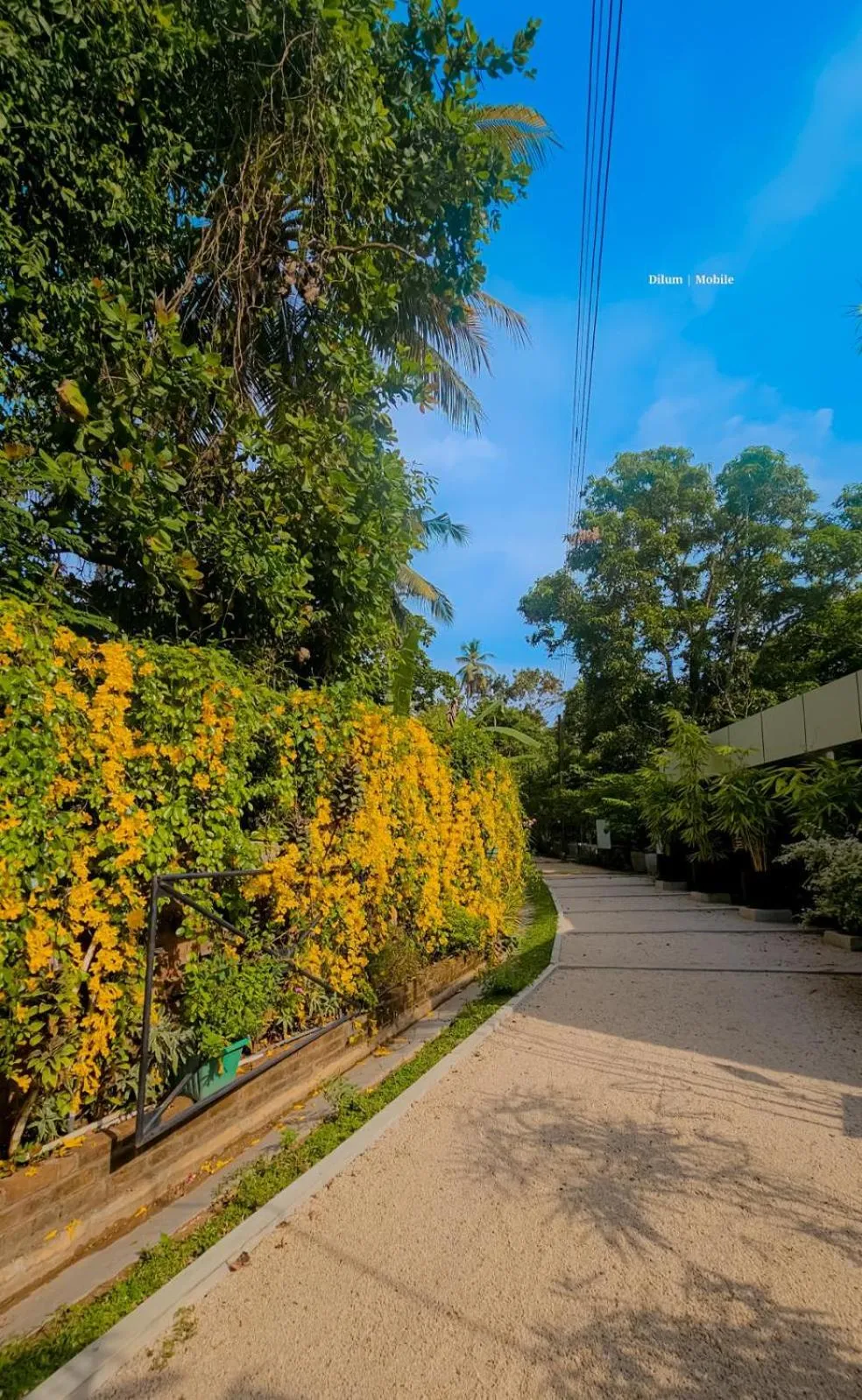Natural landscape in Ceylon Kingsmen Garden - Katunayake Airport Transit Hotels