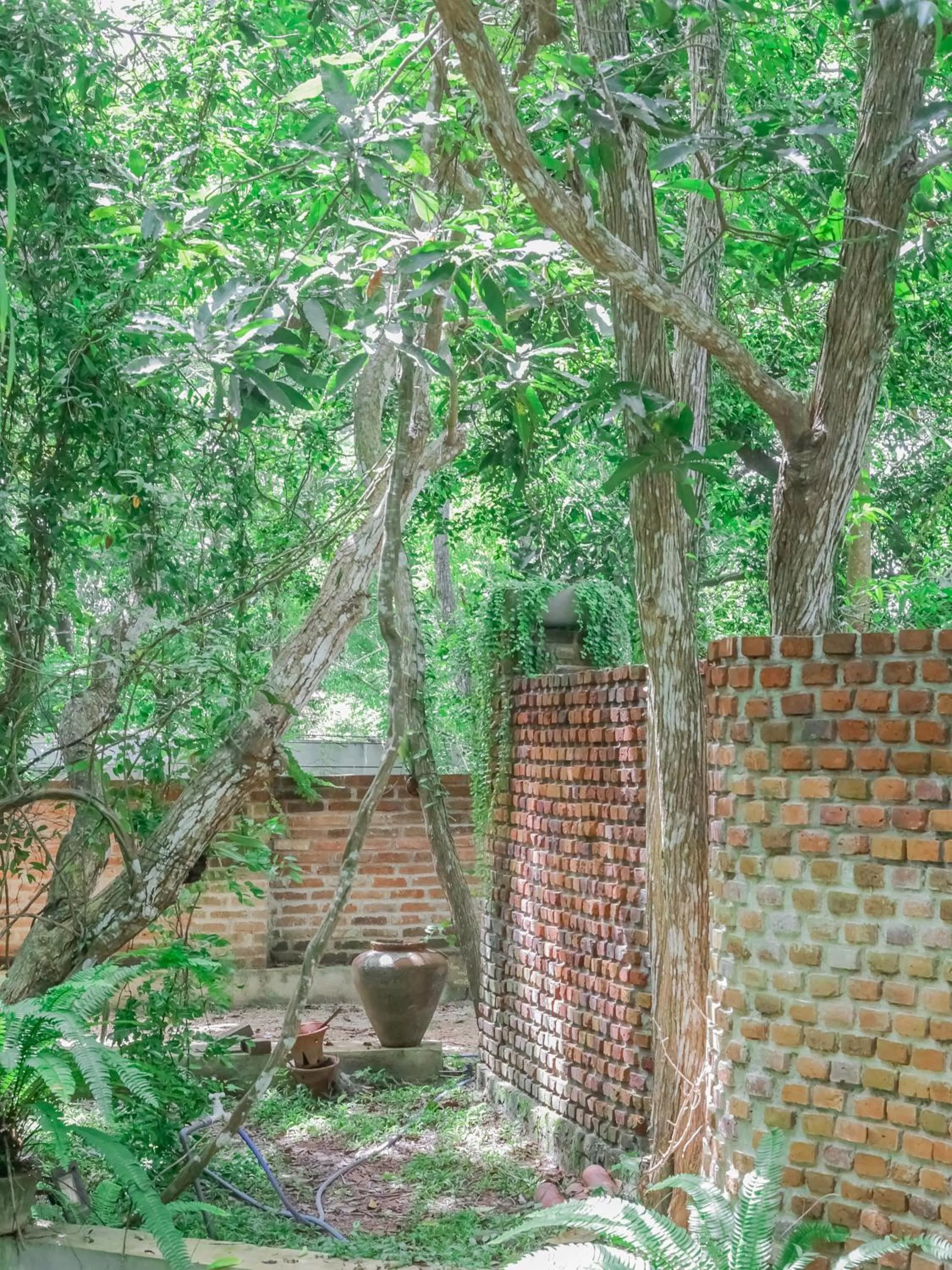 Natural landscape in Ceylon Kingsmen Garden - Katunayake Airport Transit Hotels