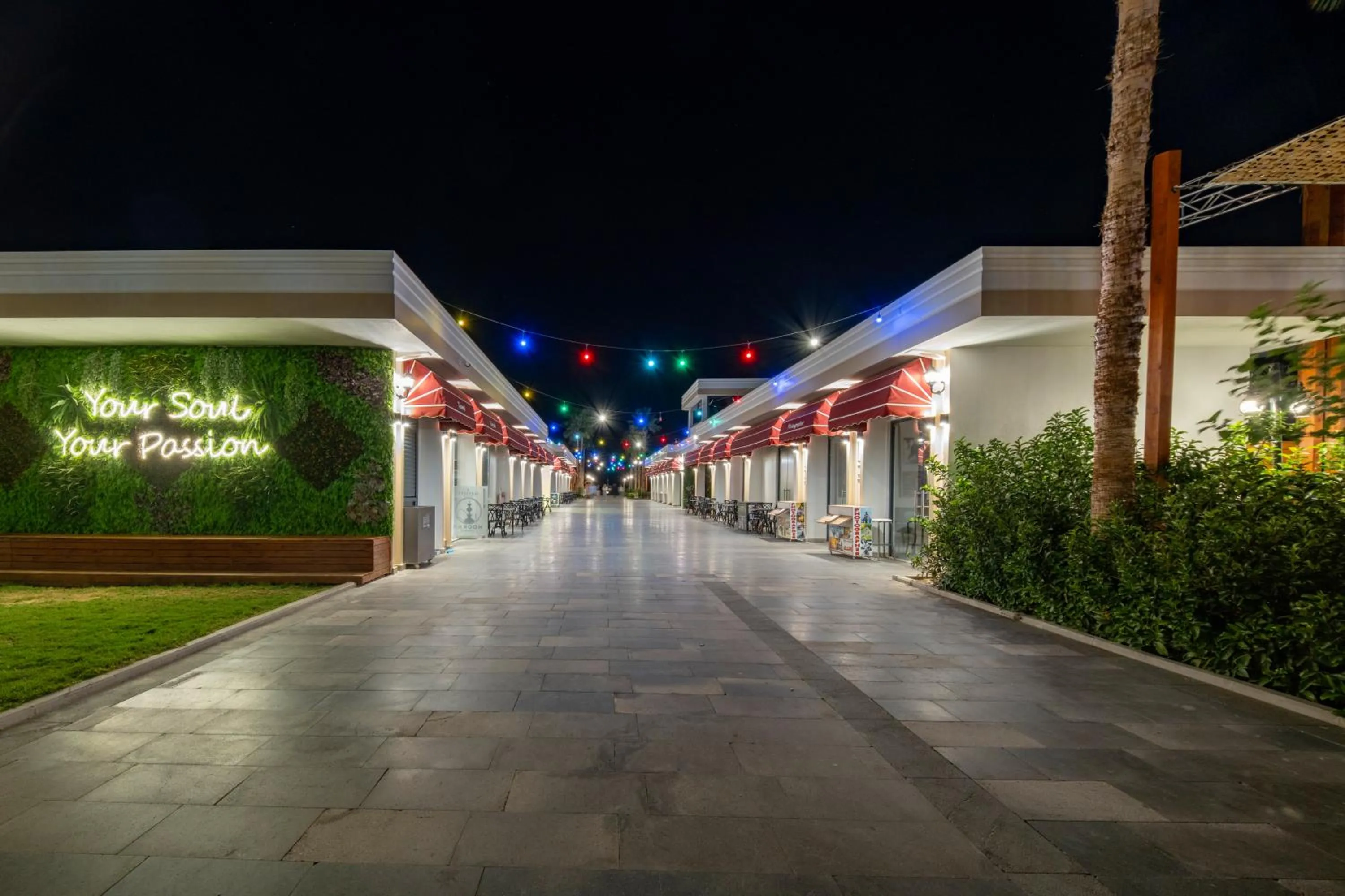 Night in Serenity Queen Hotel