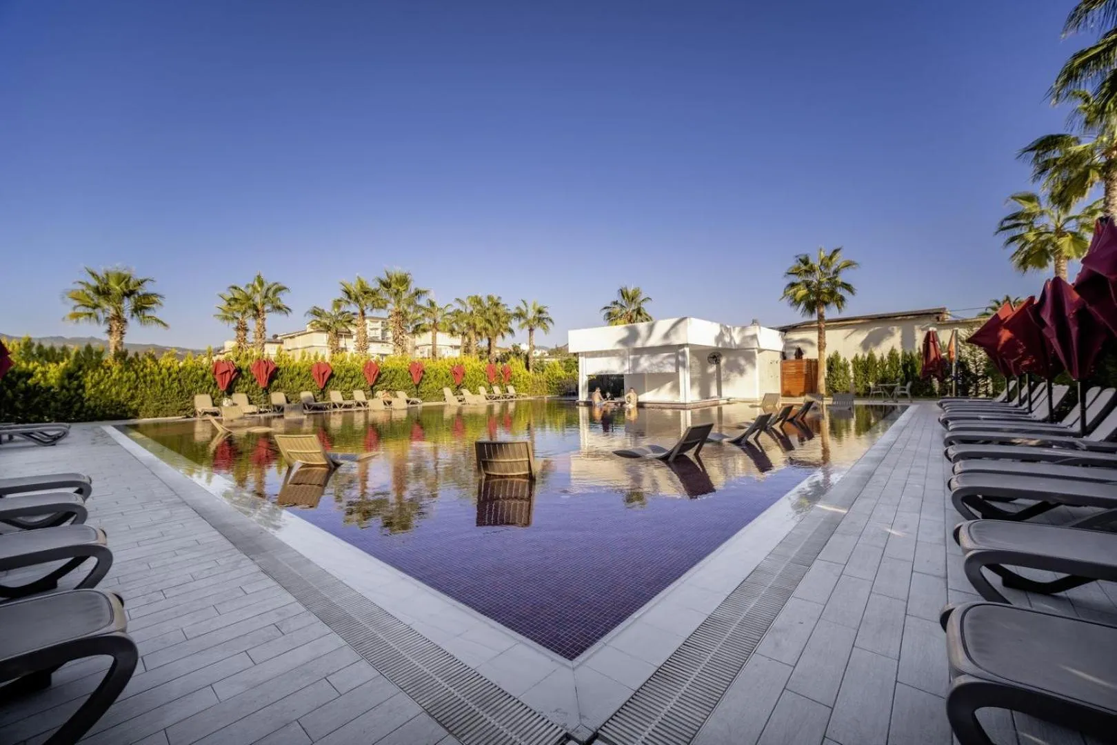 Day in Serenity Queen Hotel