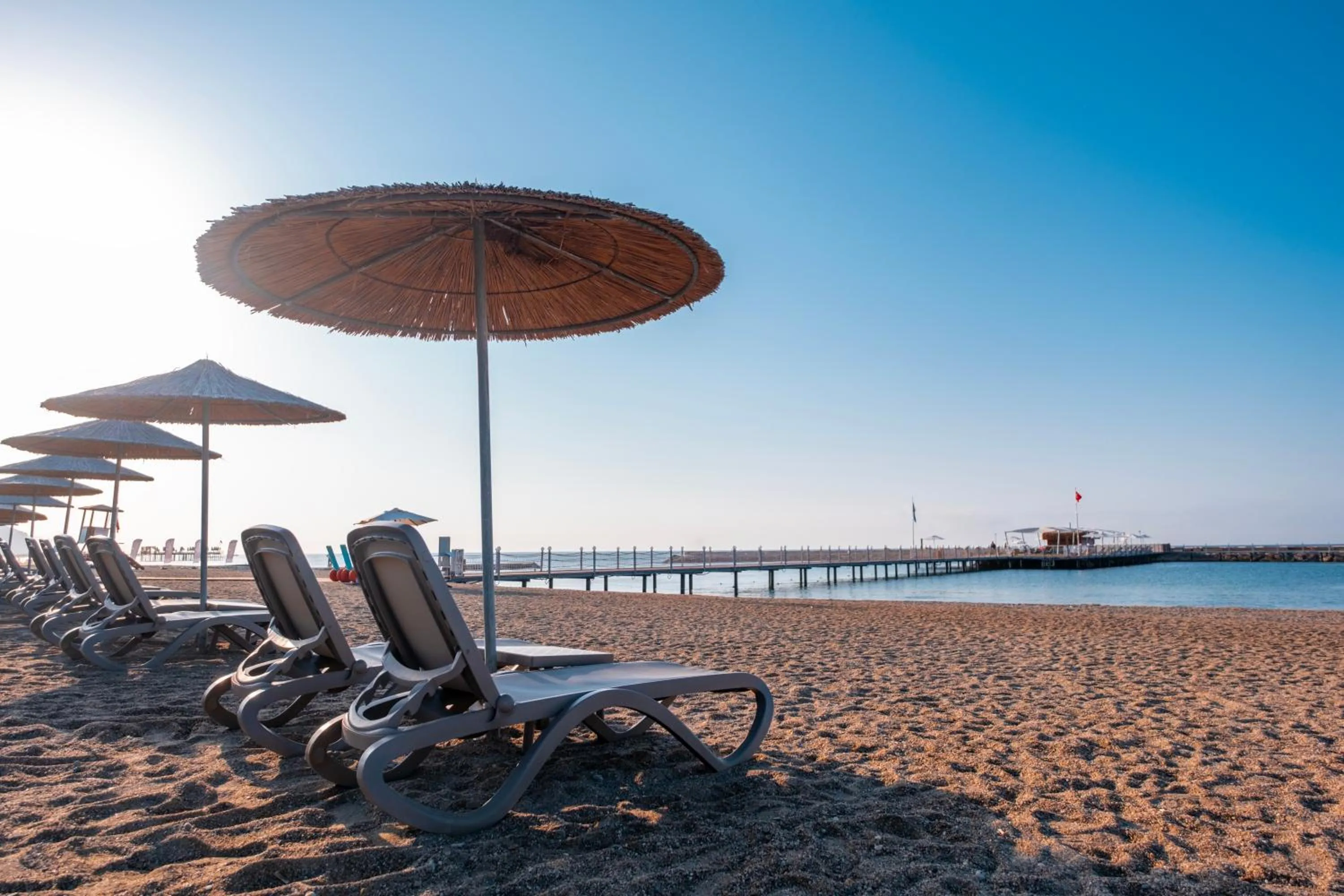 Day in Serenity Queen Hotel