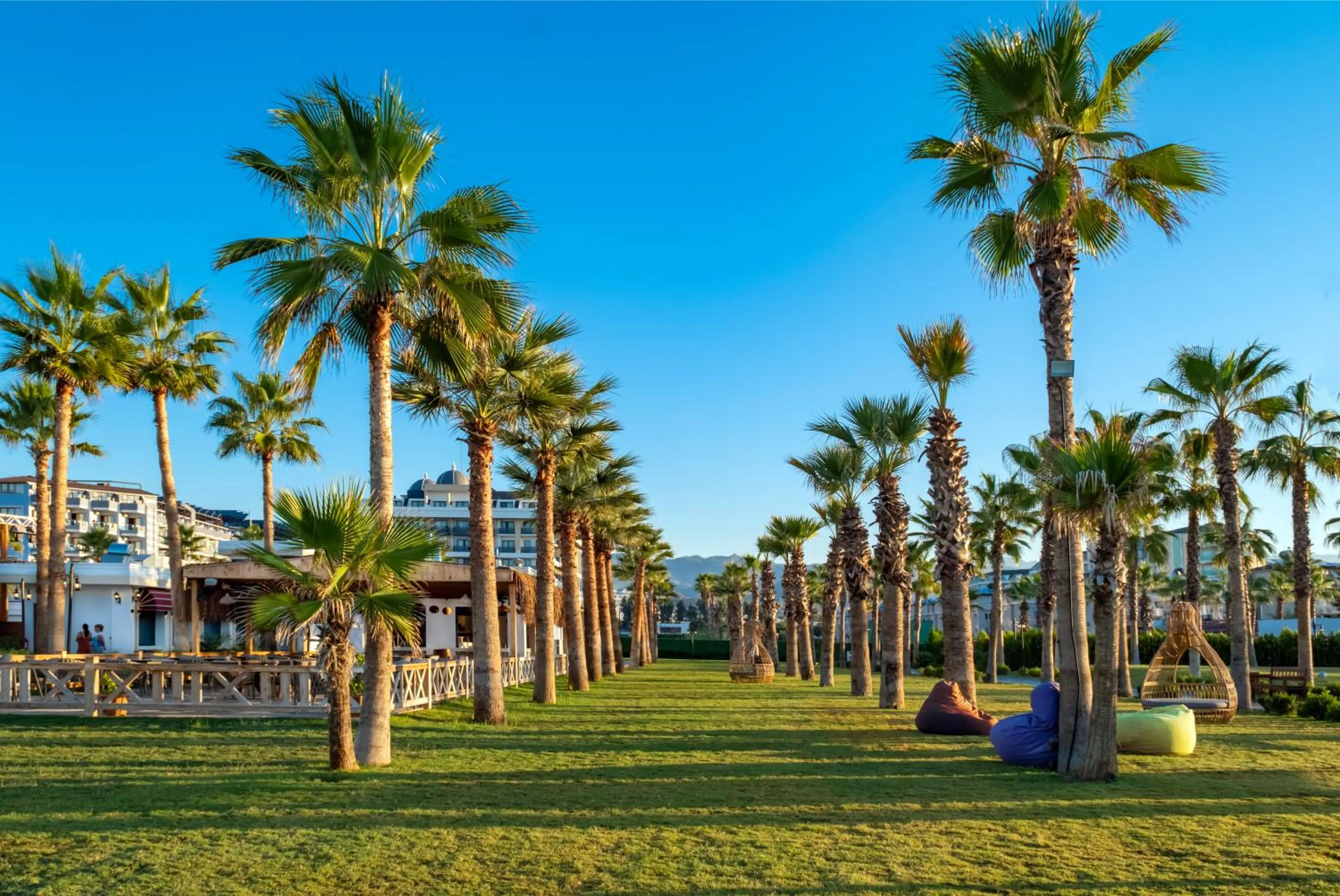 Day in Serenity Queen Hotel