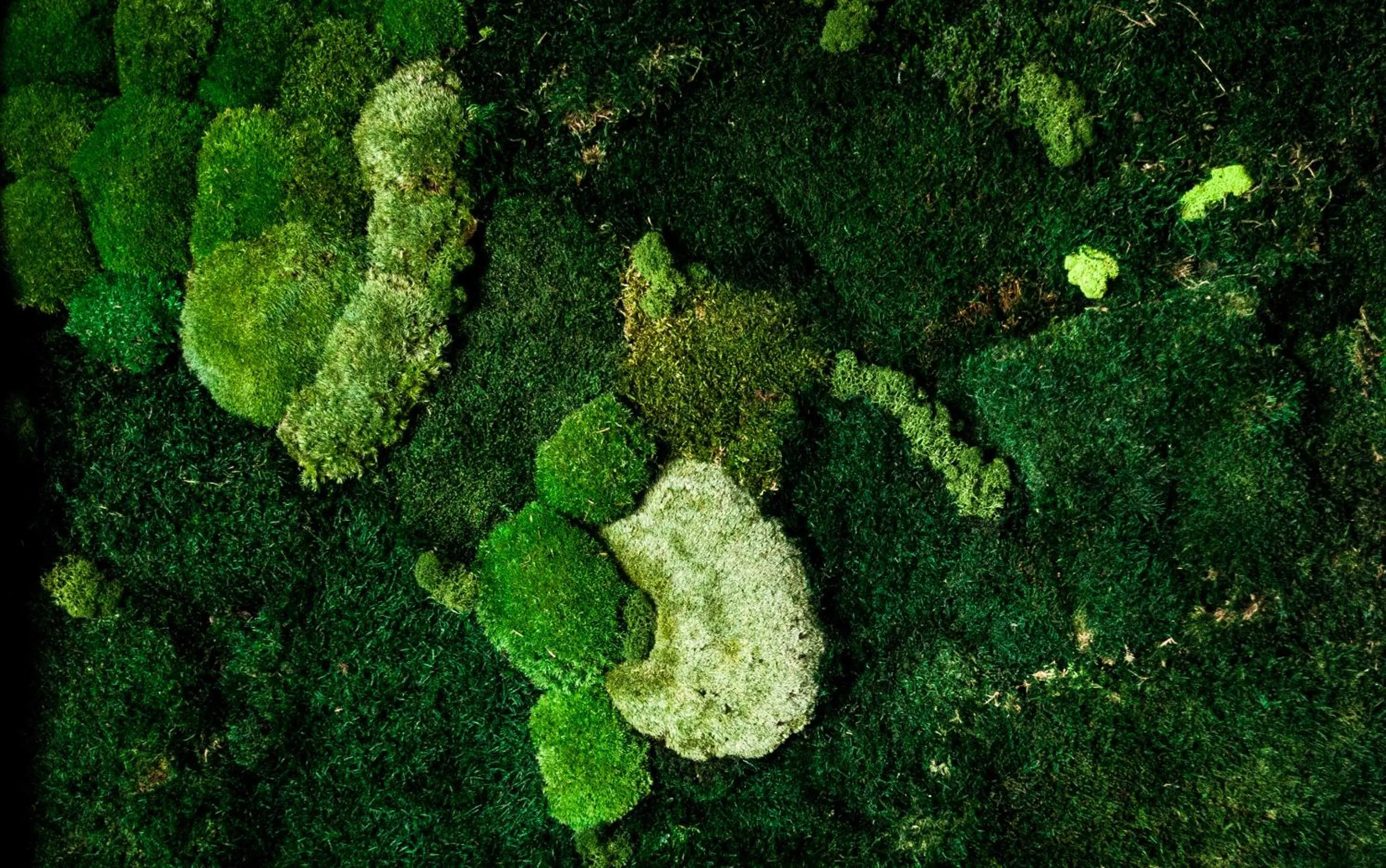 Decorative detail in Hotel Rajka