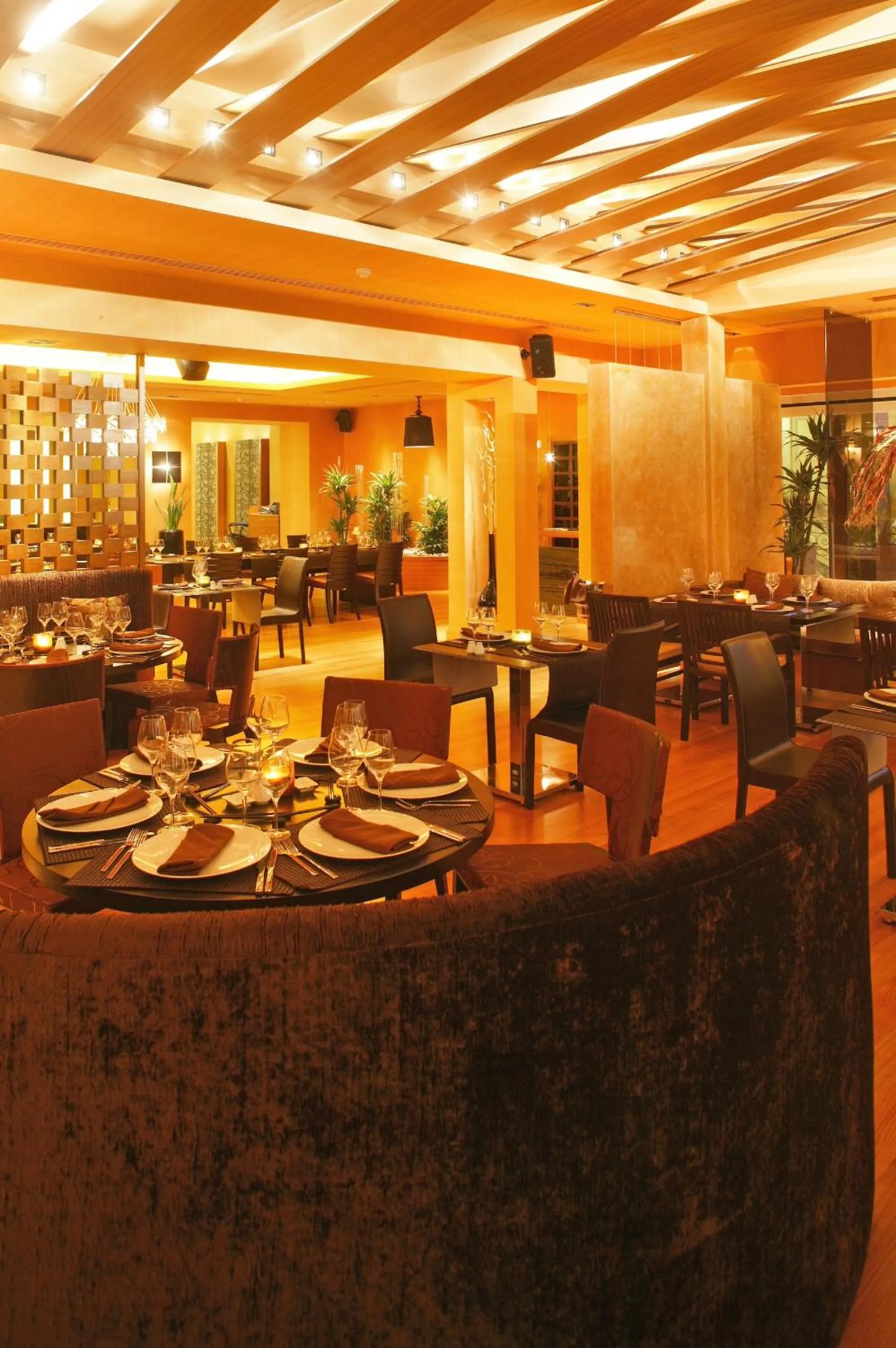 Restaurant/places to eat in Theoxenia Palace