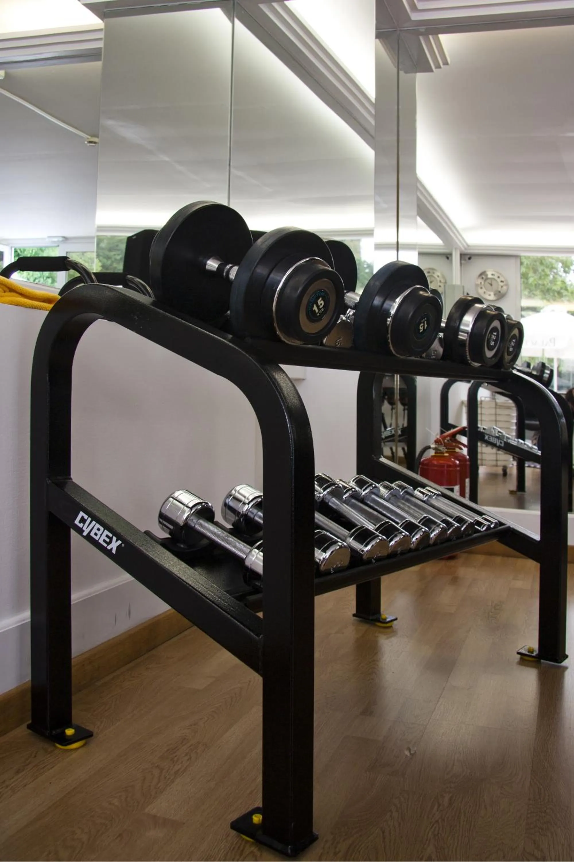 Fitness centre/facilities in Theoxenia Palace