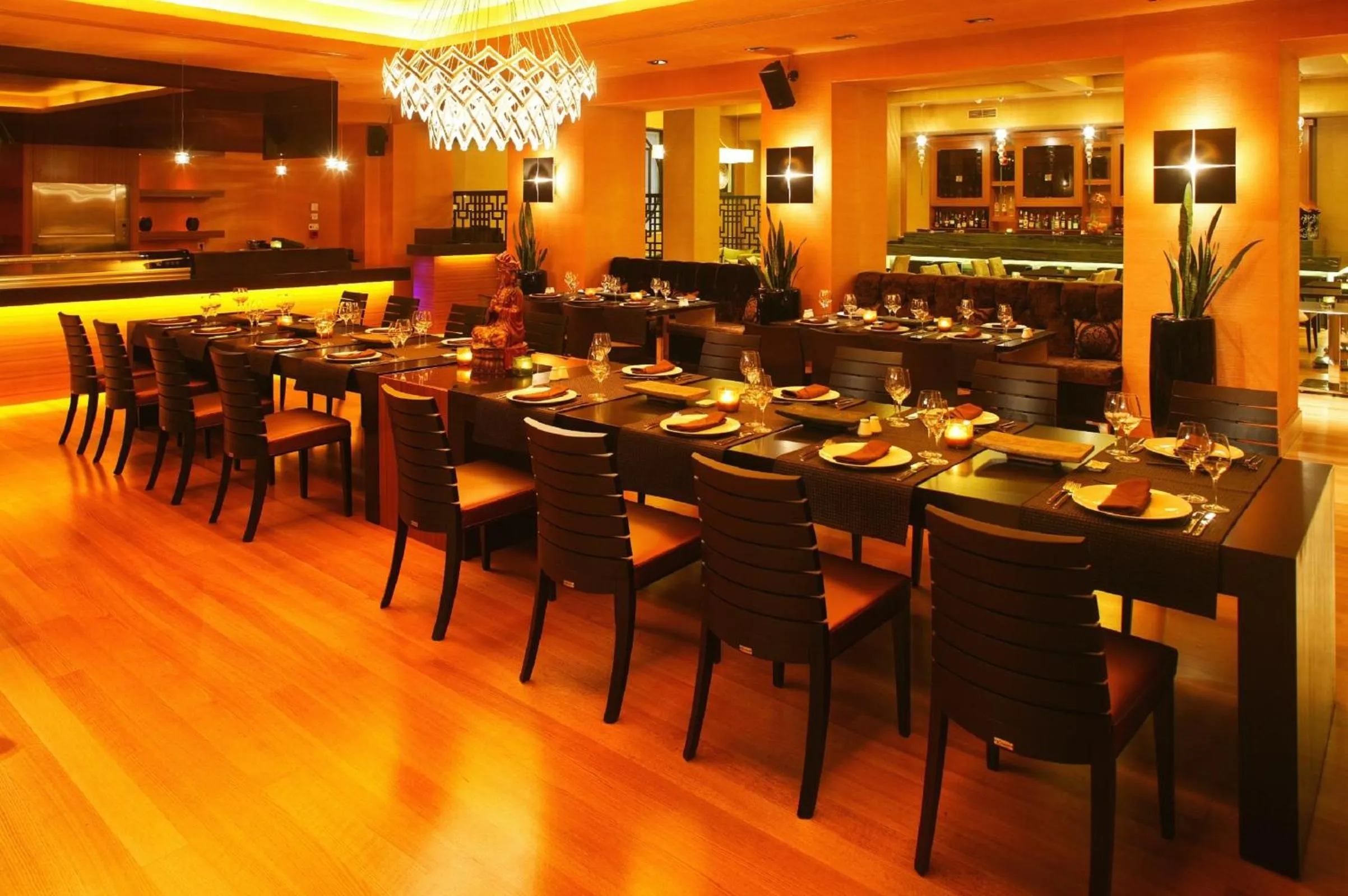 Restaurant/places to eat in Theoxenia Palace