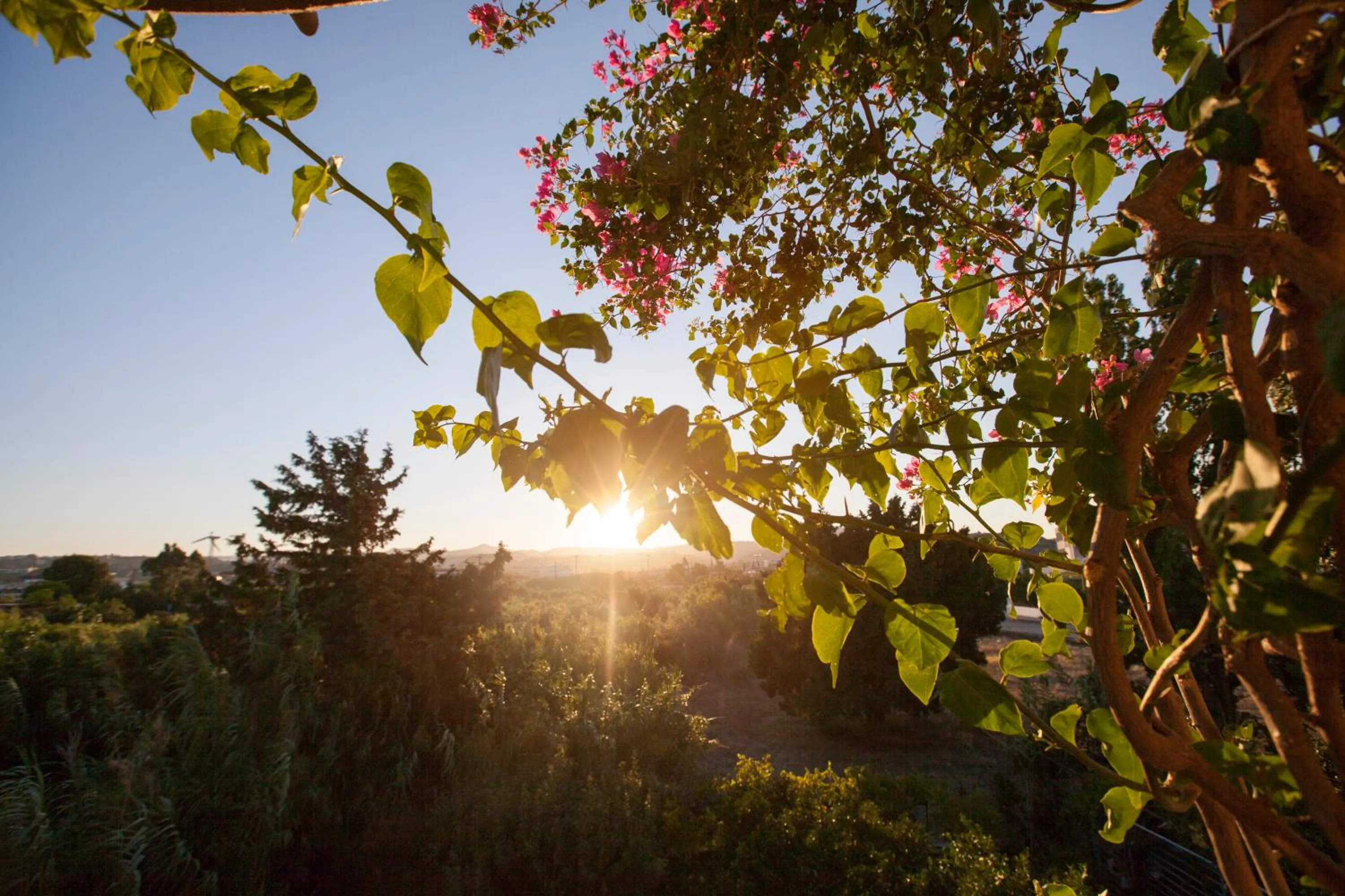 Balcony/Terrace in John Mary