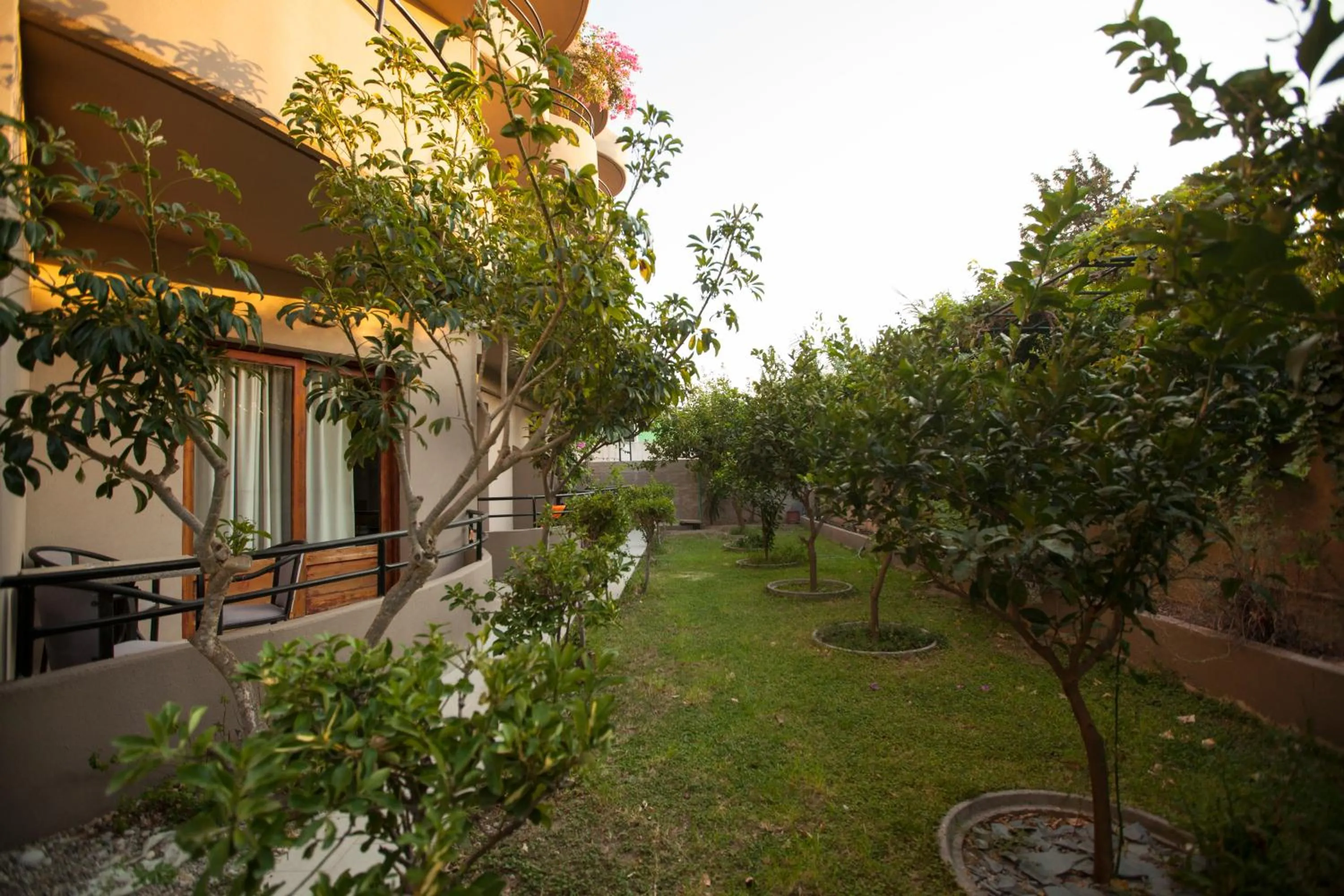 Property building in John Mary