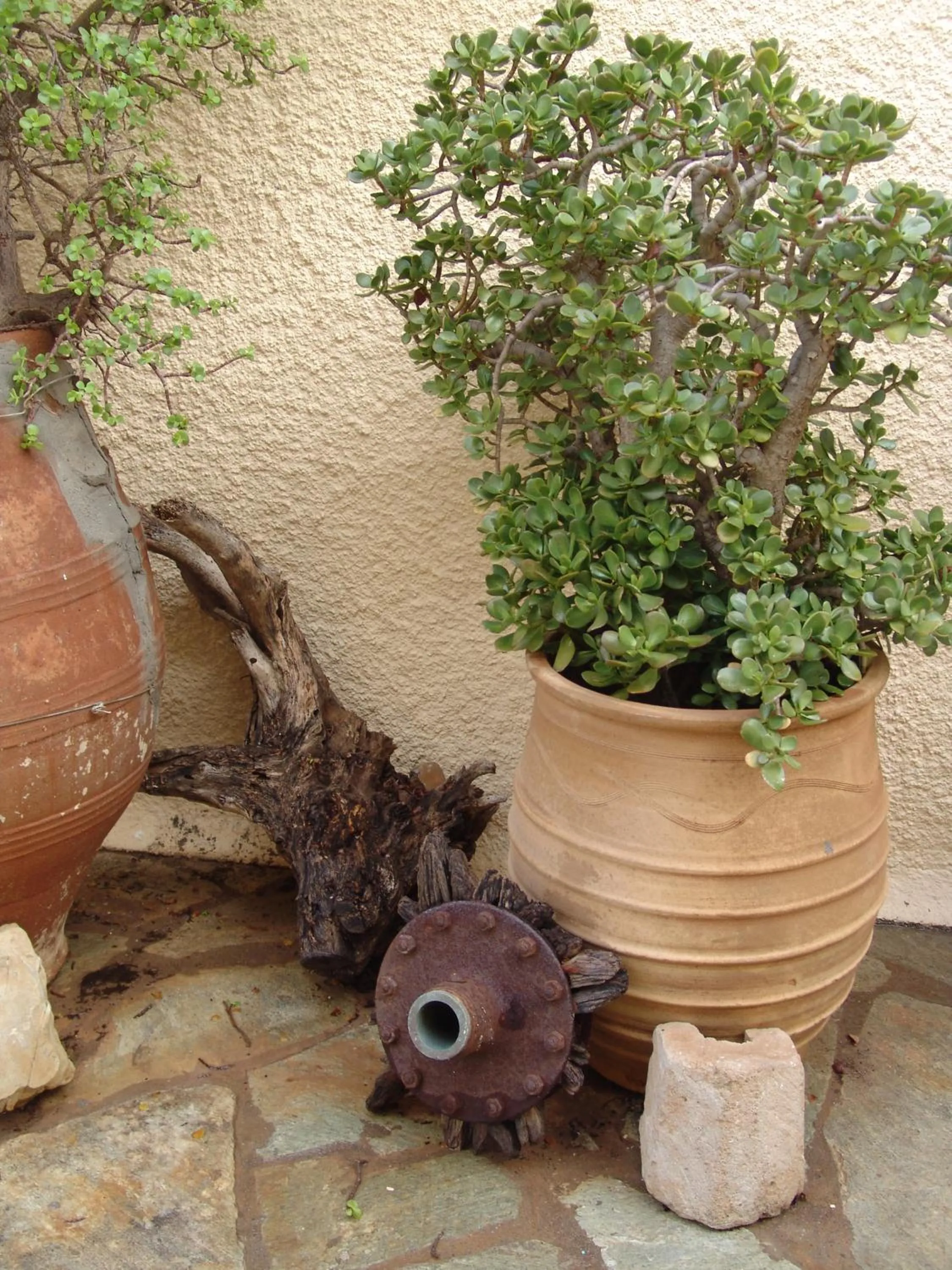Decorative detail in Porto Sisi Hotel Apartments