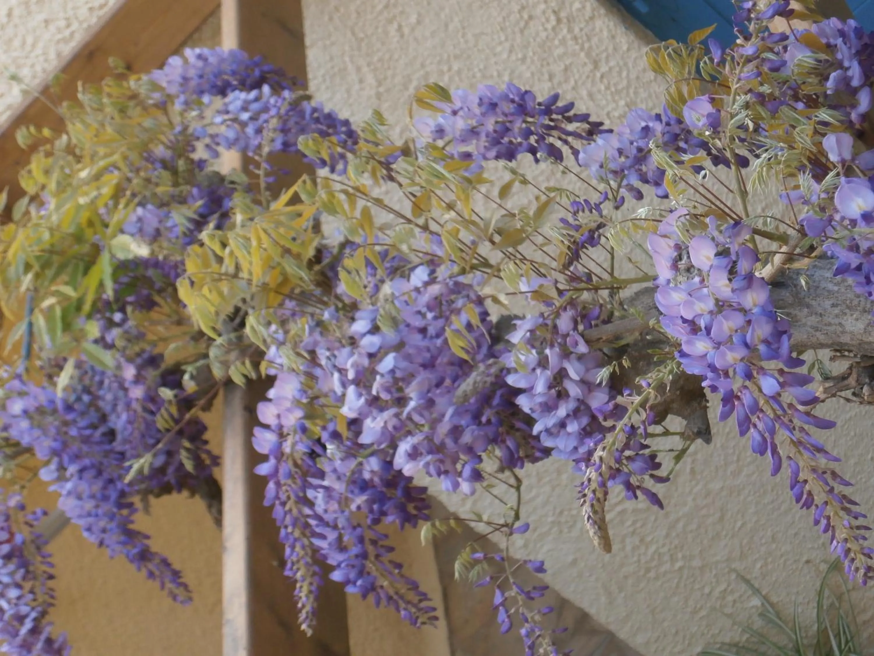 Other in Porto Sisi Hotel Apartments