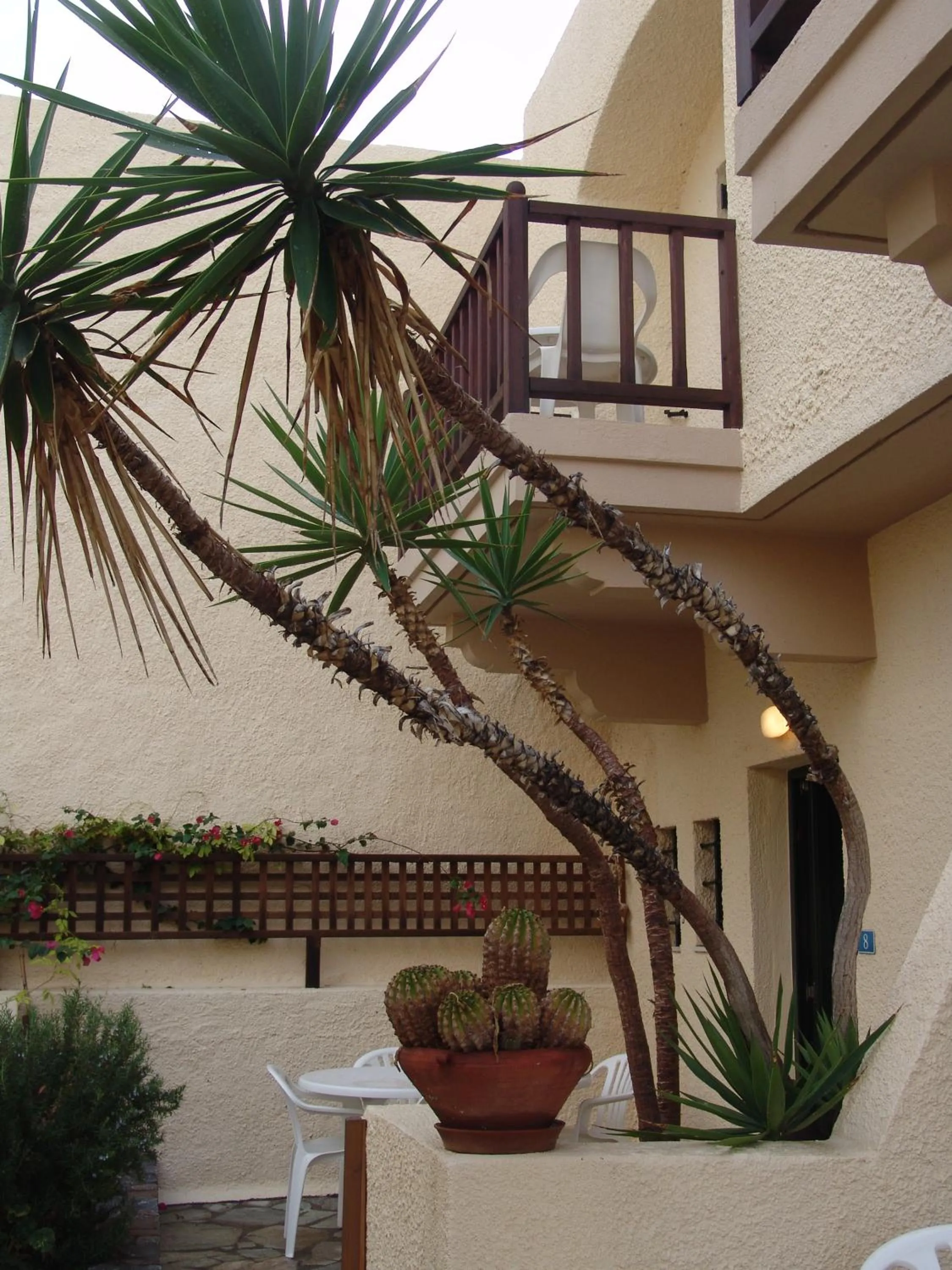 Patio in Porto Sisi Hotel Apartments