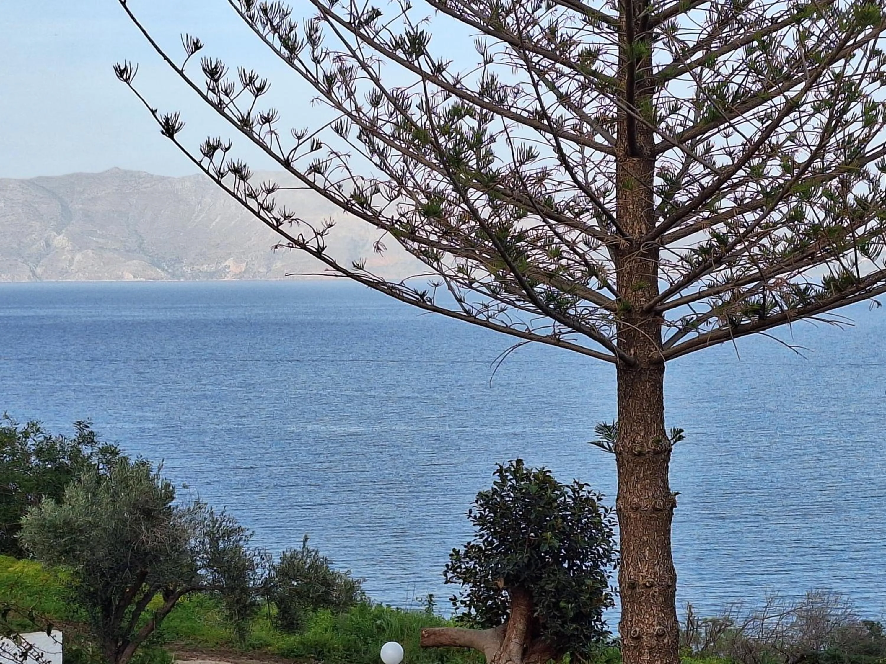 Sea view in Delfini Apartments