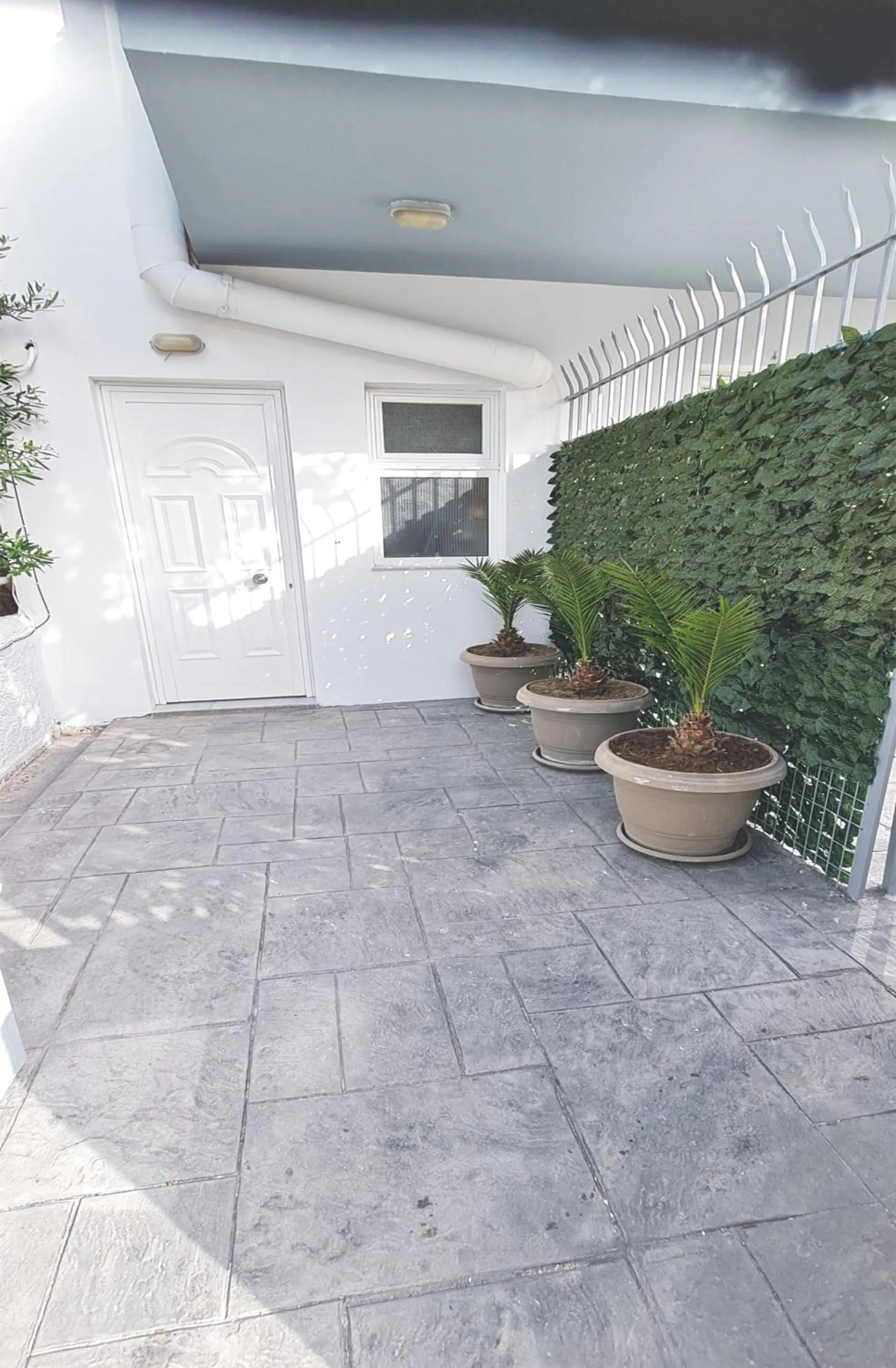 Property building in JP Pool & Apartments