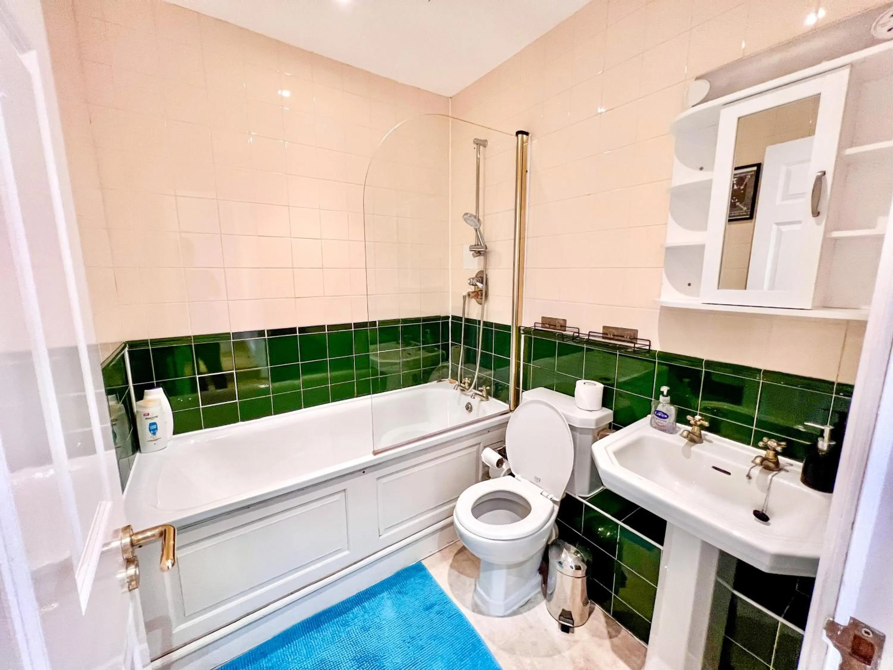 Deluxe Entire Apartment Between Covent Garden and St Pauls Cathedral