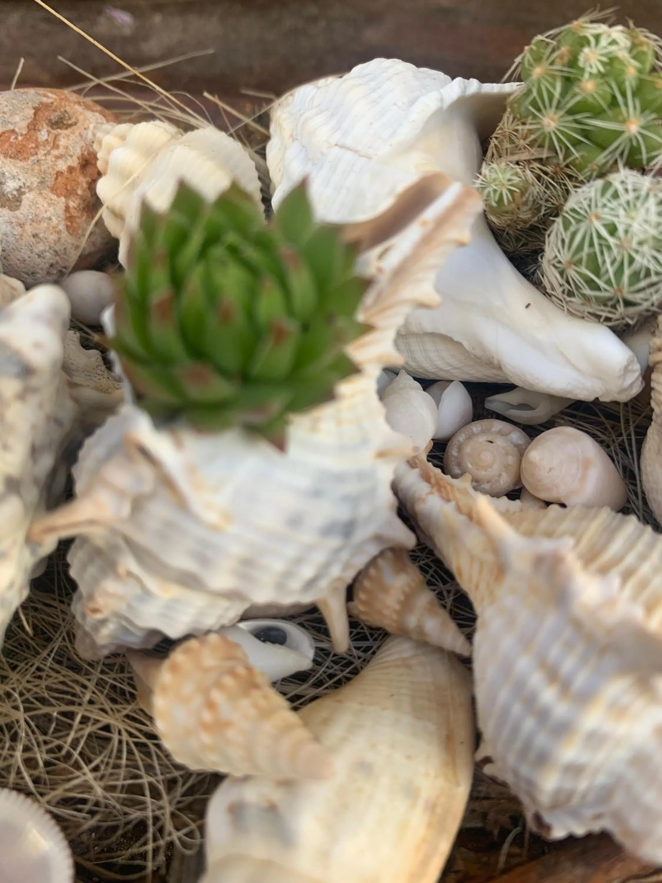 Decorative detail in Ermis Suites