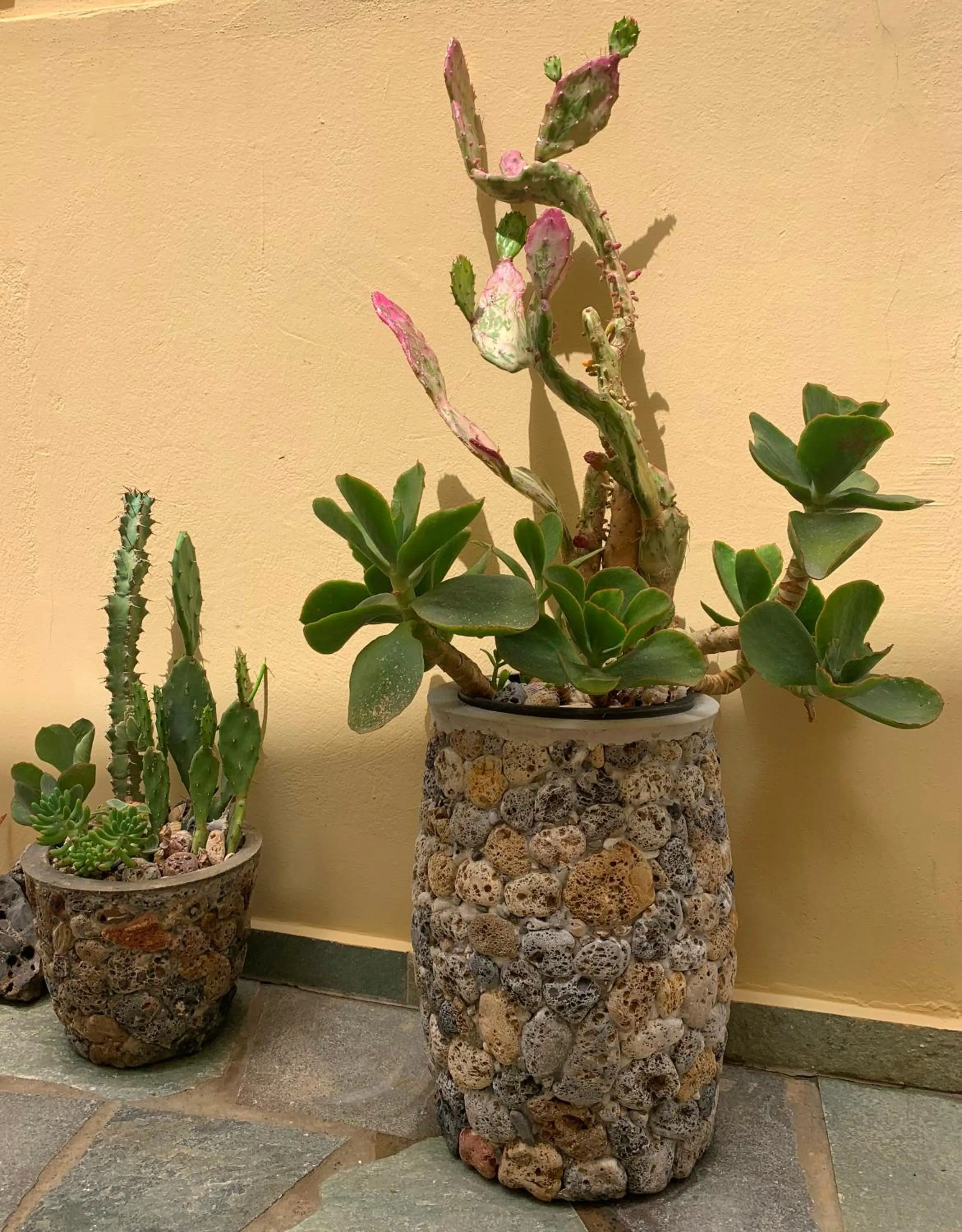 Garden in Ermis Suites