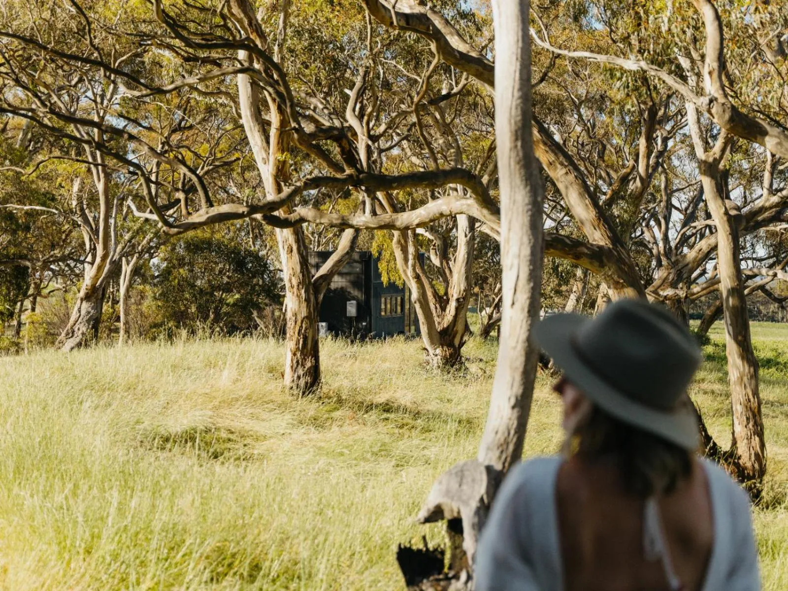 Spring in CABN Clare Valley